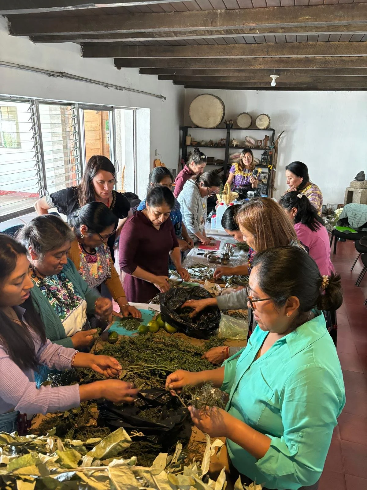 Mujeres y Medicina Natural: Casa de Sanación I’x Kame