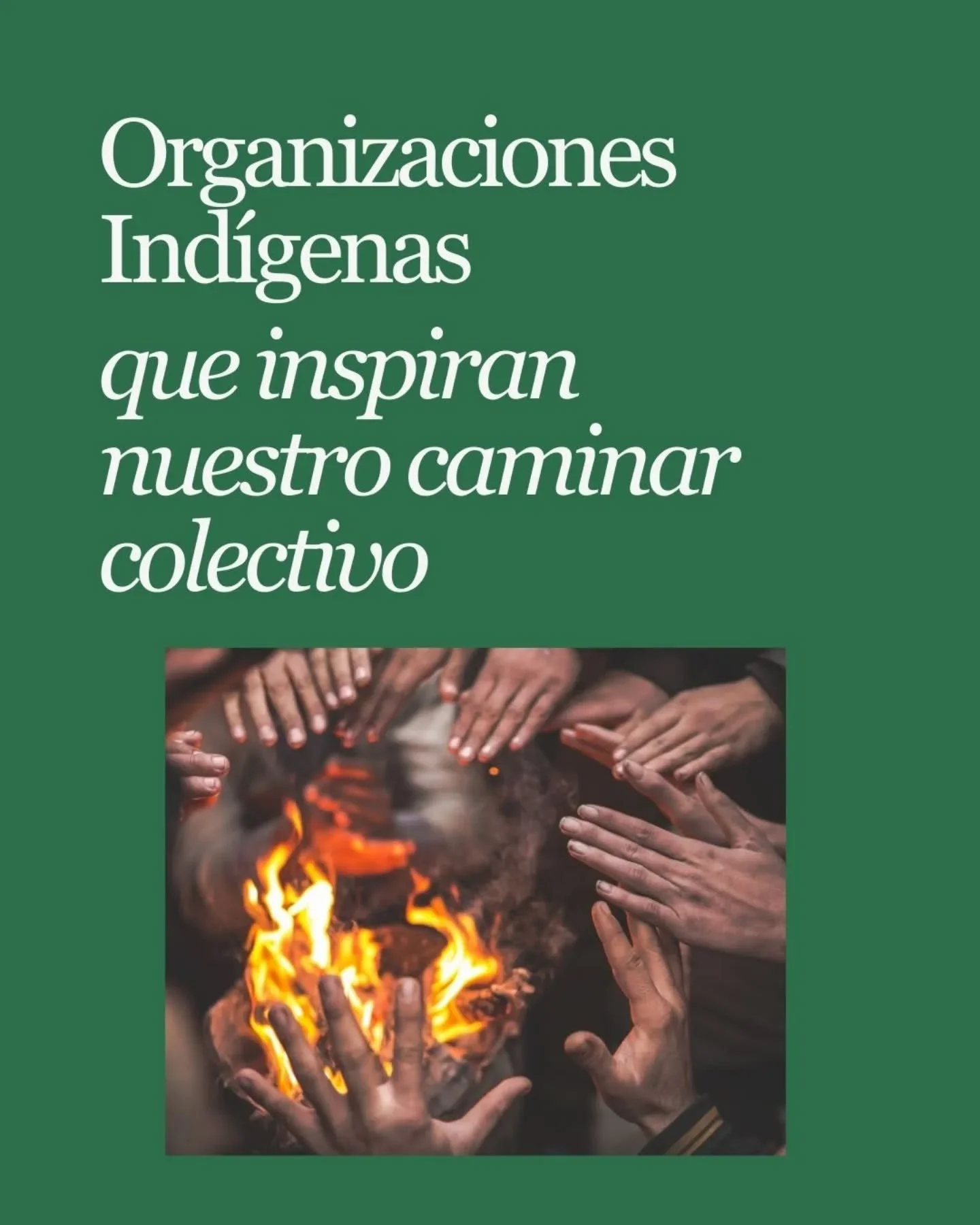 La Cosmovisi&oacute;n Maya nos ense&ntilde;a que estamos interconectadxs&mdash;igual que nuestras luchas. En esta temporada, destacamos organizaciones de Pueblos Ind&iacute;genas en Guatemala y EE.UU. que nos inspiran y fortalecen nuestro caminar col