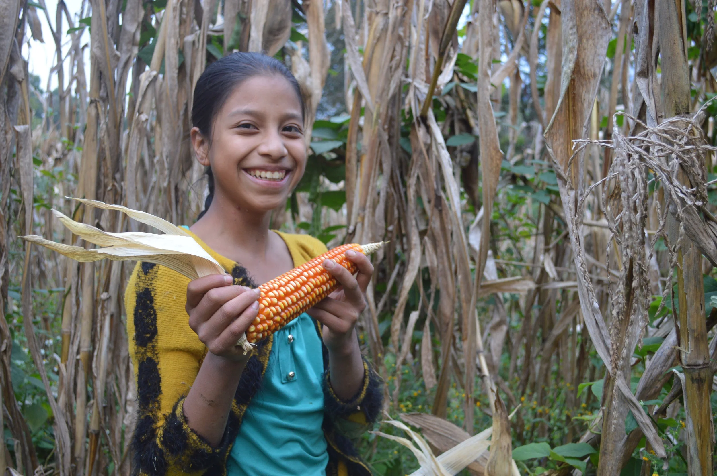 A mural featuring two elderly people, one man holding a cacao pod and a woman wearing a colorful floral blouse. There is a hummingbird and pink flowers in the background.
