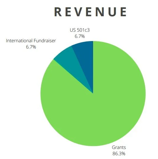 Pie chart labeled 'REVENUE' showing three categories: Grants (86.3%), US 501(c)3 (6.7%), International Fundraiser (6.7%).