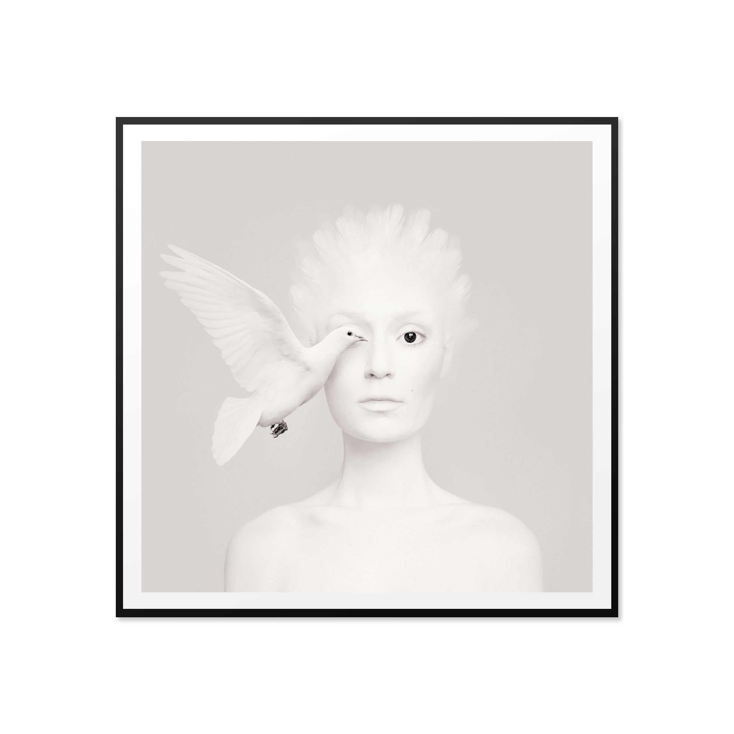 dove.png