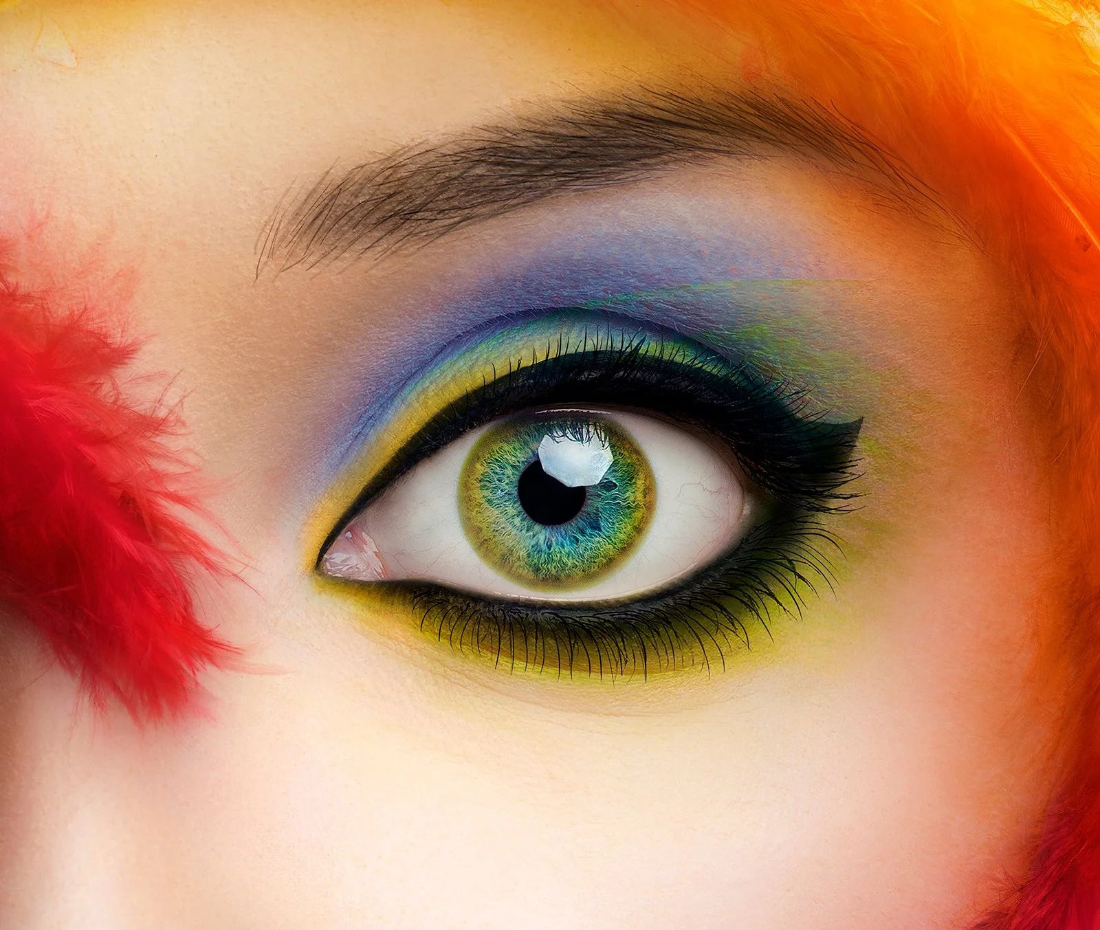 Creative Cloud