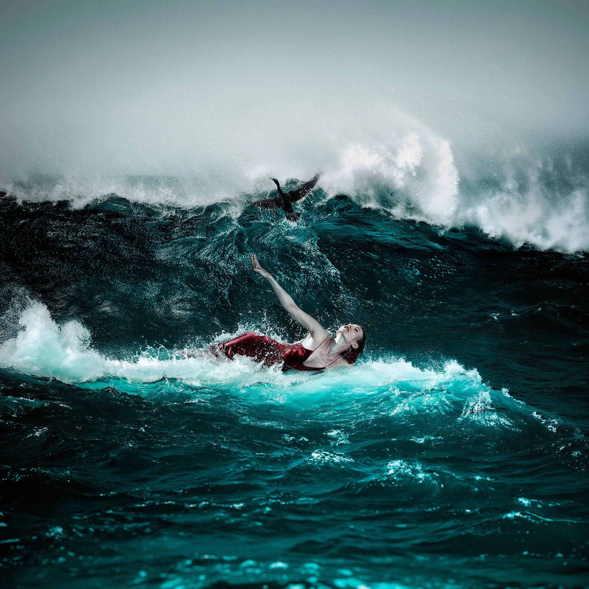 A woman in a red dress is in rough ocean waves, reaching out with one arm towards a bird flying above her, with a large wave crashing in the background.