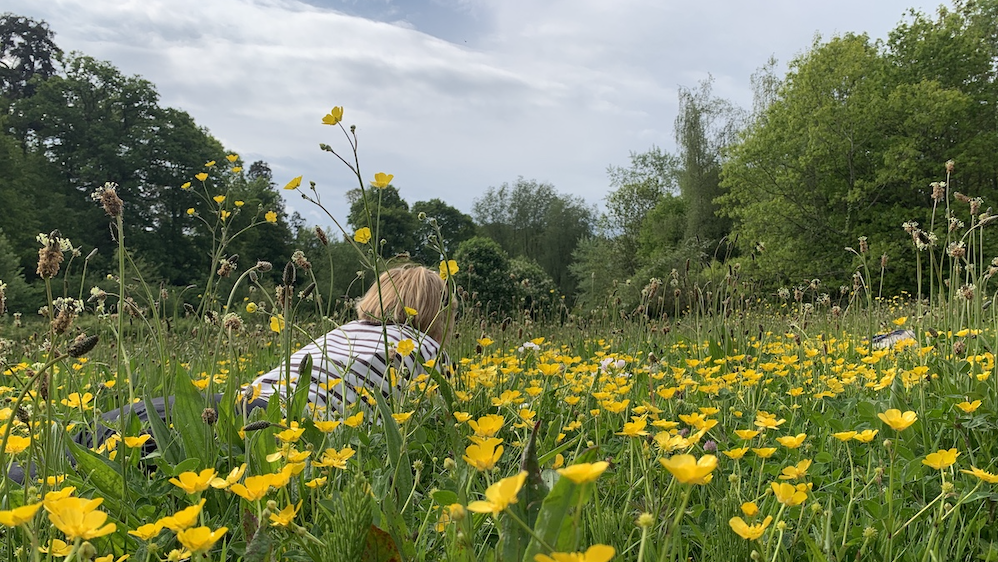 Words in the Wild - Community Poetry Project