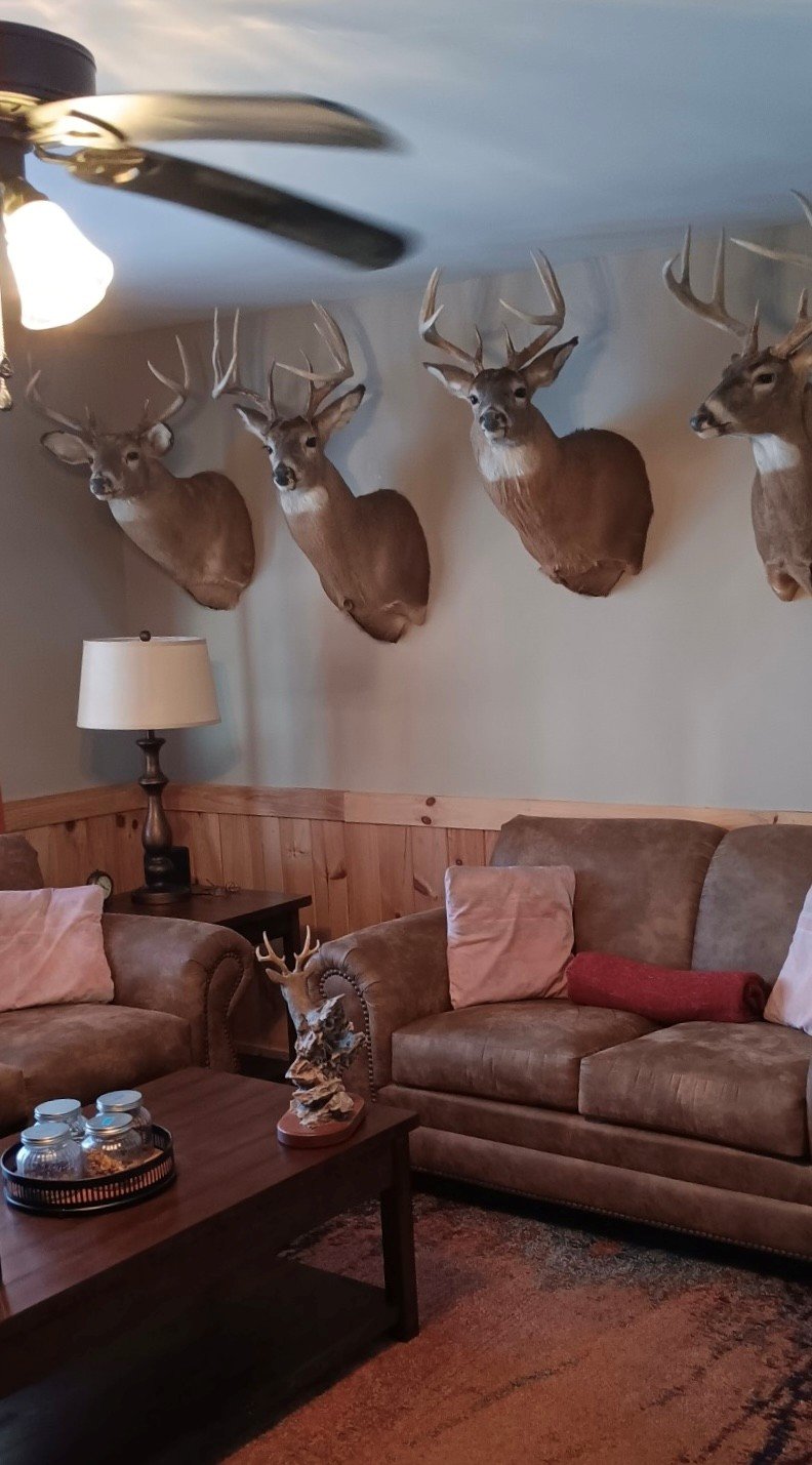 Living room with mounted deer heads, brown sofas, coffee table with jars, and a lamp.