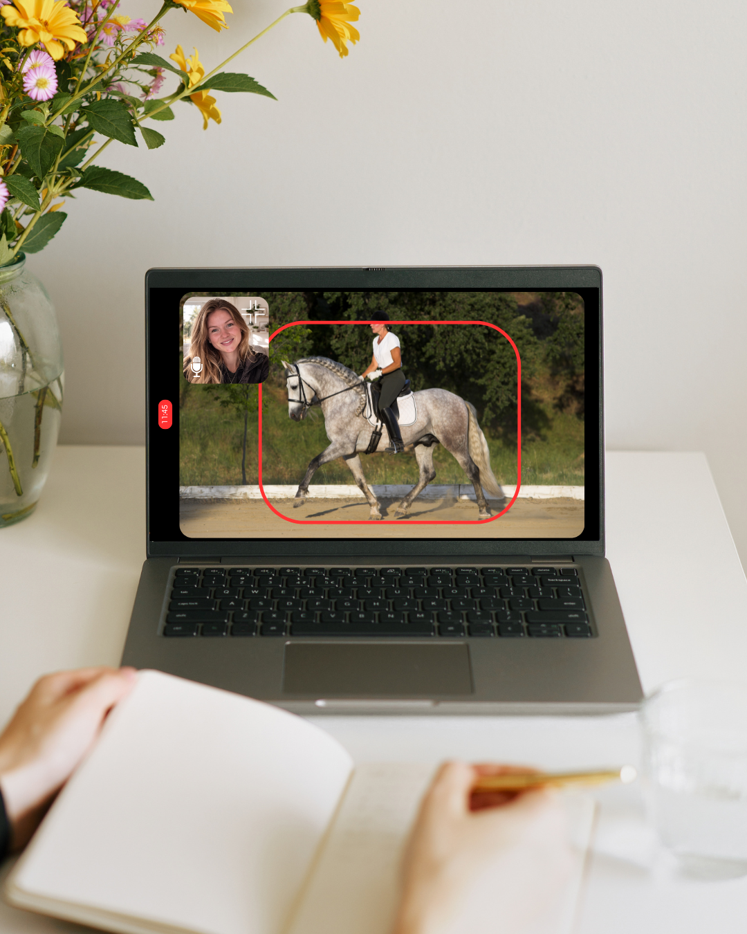 Online Reitunterricht mit Pivo – So trainieren wir zusammen, egal wo du bist