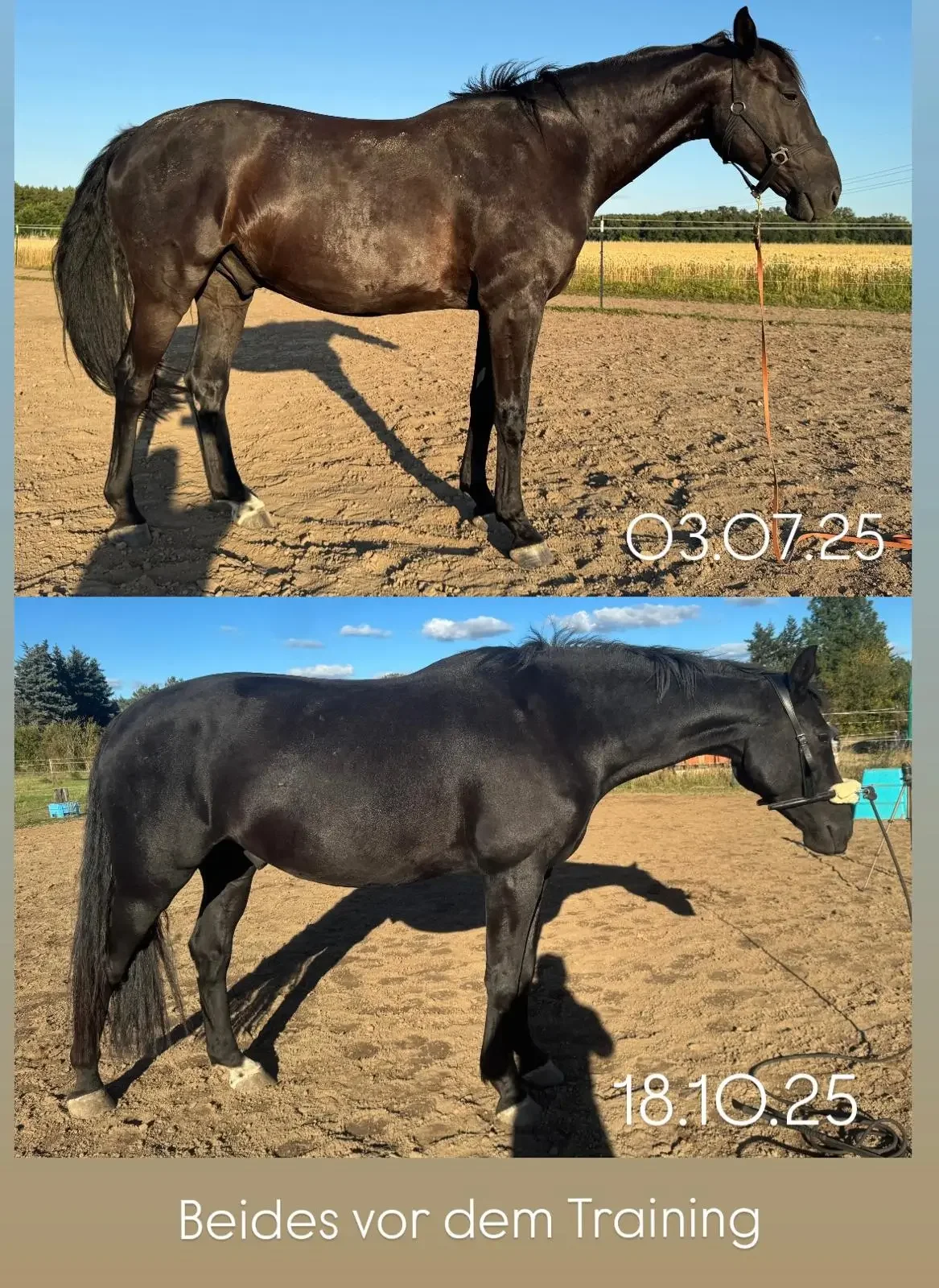 WhatsApp Image 2026-04-05 at 17.11.48.webp