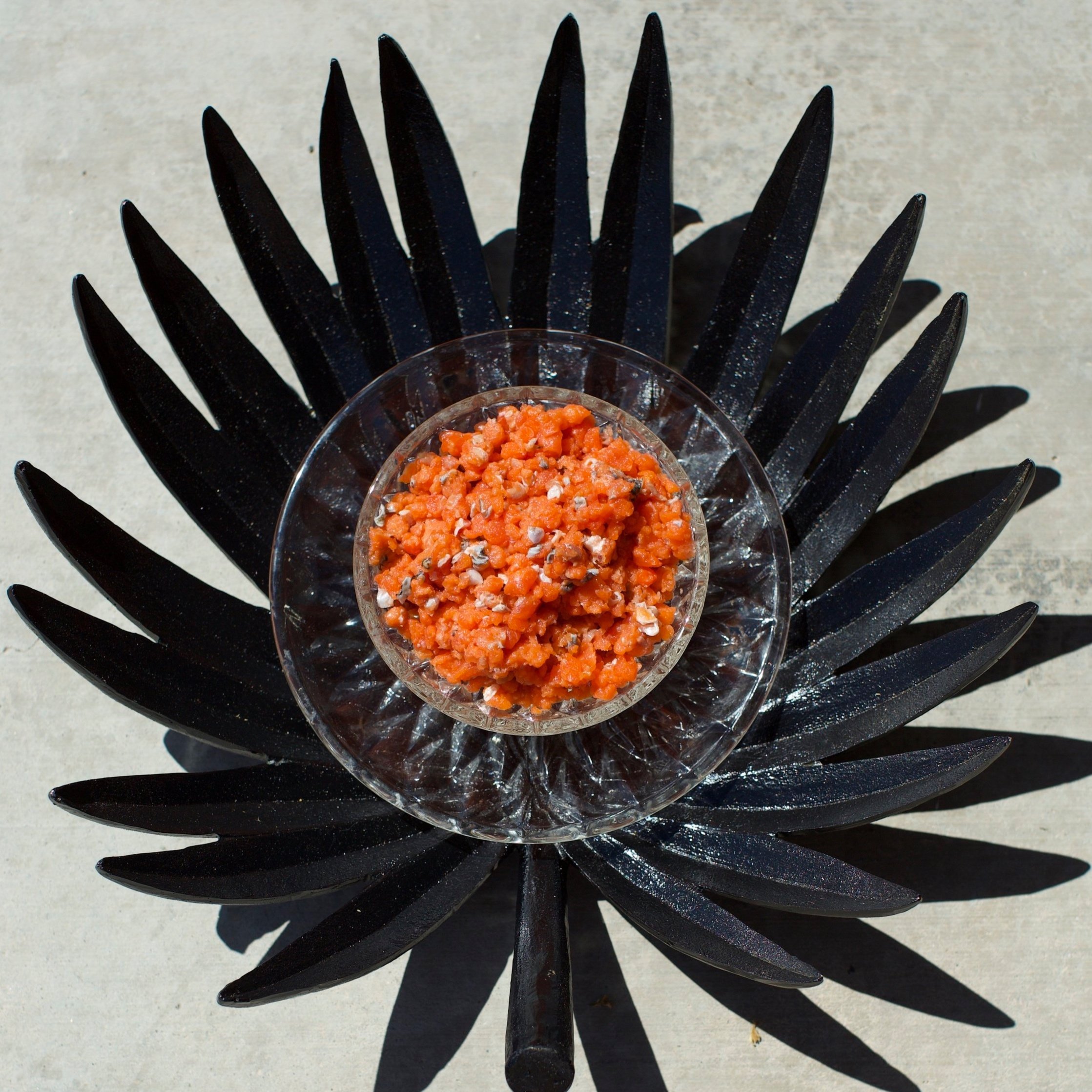 SALMON+grind+raw+blend.jpg