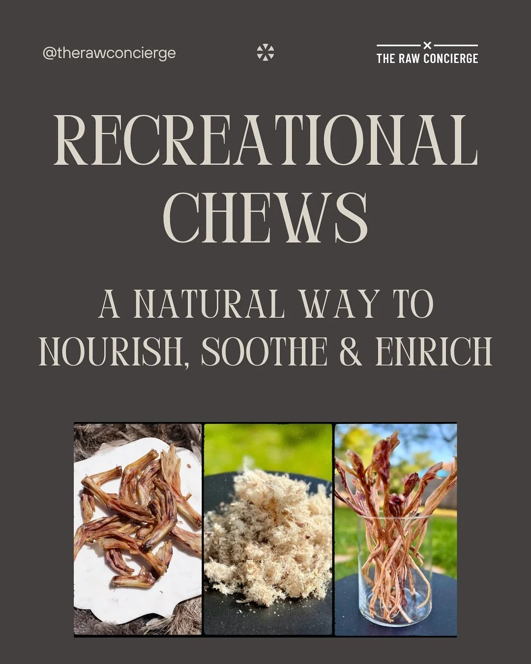 From instinct to well-being—chewing is your dog’s natural way of staying balanced.
⠀
Our recreational chews do more than occupy time. They calm the nervous system, support joint and dental health, and align with your dog’s ancestral