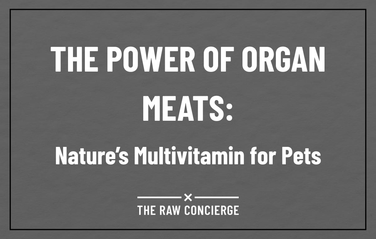 The Power of Organ Meats: Nature’s Multivitamin for Pets