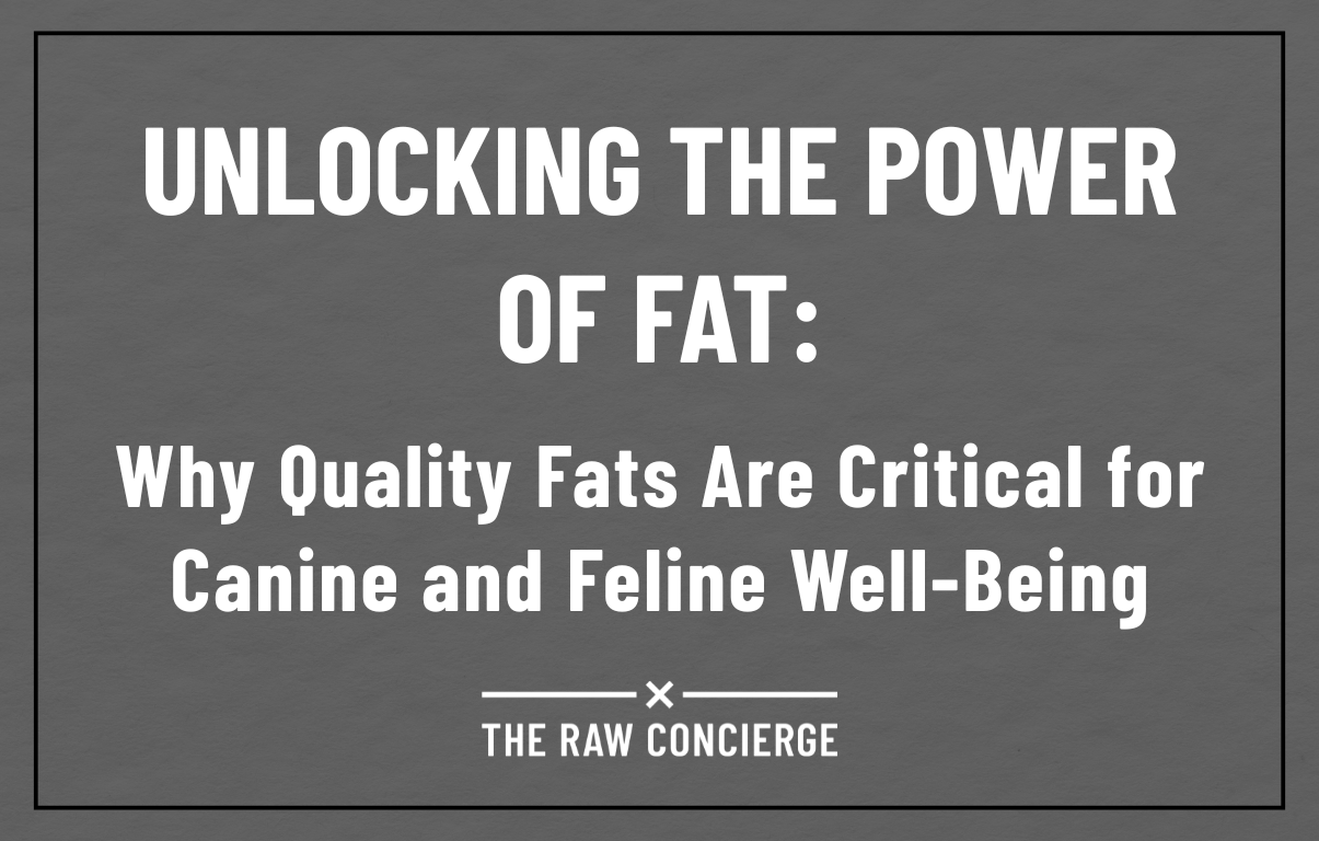 The Essential Role of Fat in Canine and Feline Nutrition