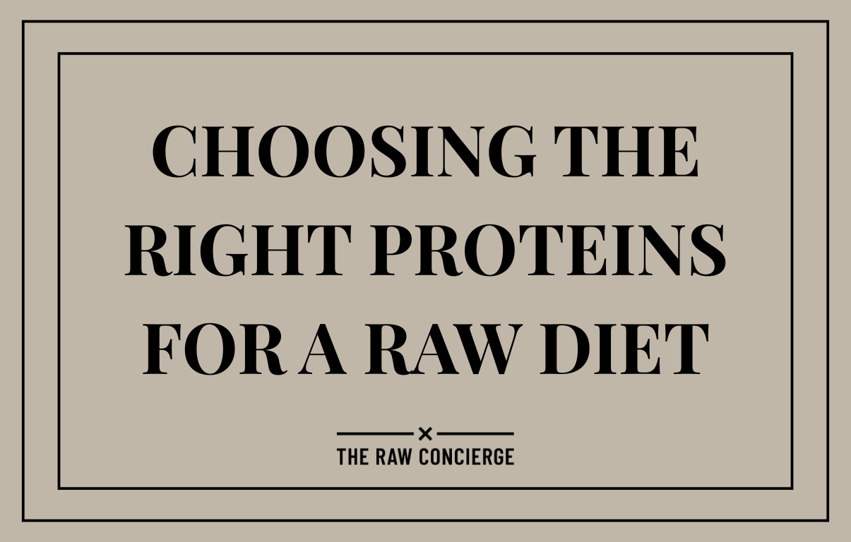 Choosing the Right Proteins for a Species-Appropriate Raw Diet