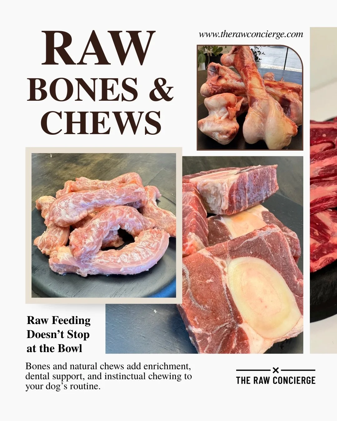 Your dog was designed to chew.

Raw bones and natural animal parts do more than keep dogs occupied &mdash; they support dental health, provide enrichment, and offer nutrients found in cartilage, connective tissue, and bone.

Whether it&rsquo;s meaty 