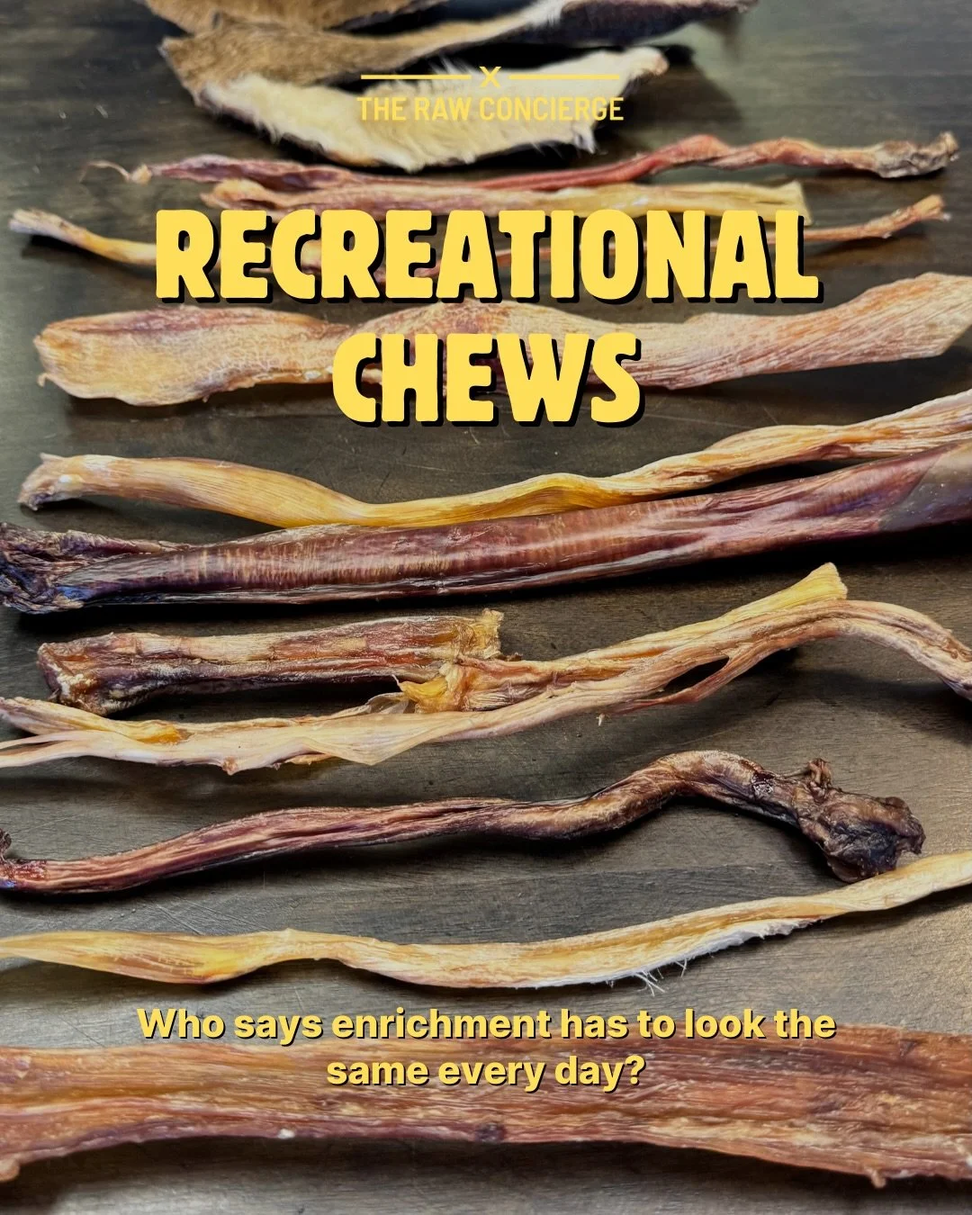 Not all chews are created equal.

We&rsquo;re intentional about everything we source &mdash; including our recreational chews. With a wide, thoughtfully curated selection of species and textures, rotation becomes both purposeful and engaging.

We pri