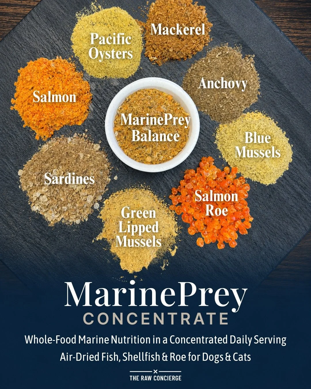 One marine system. One daily addition.

MarinePrey Concentrate was designed to simplify marine nutrition by combining whole fish, shellfish, and roe into one concentrated whole-food formula.

Instead of layering multiple marine supplements into the b