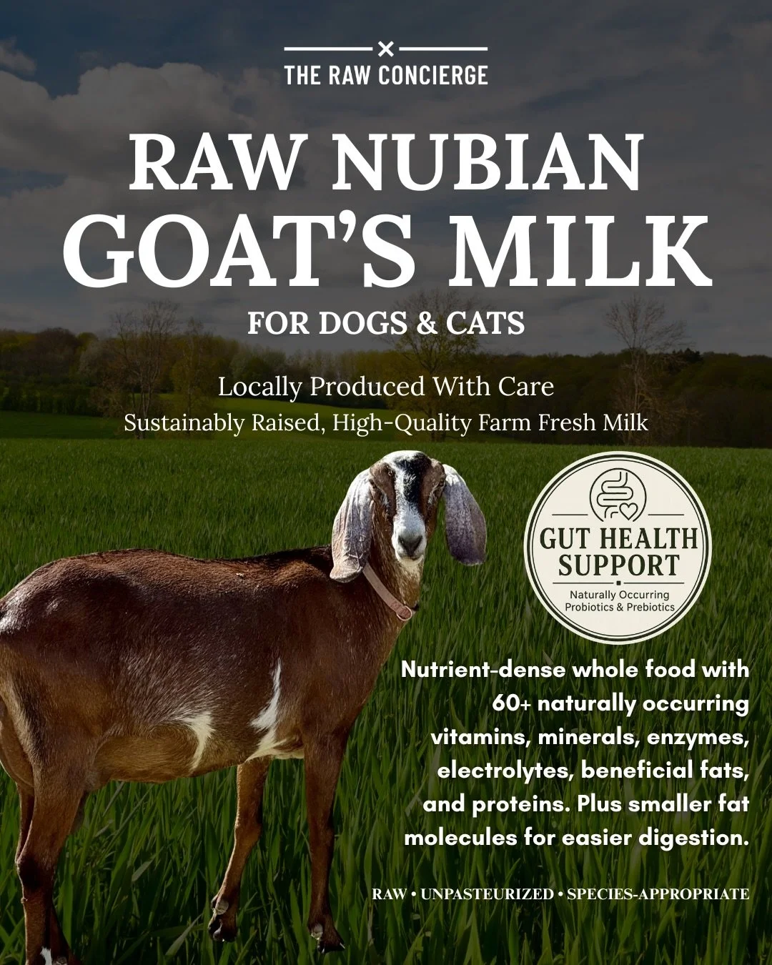 Not all dairy is the same.

Raw goat&rsquo;s milk offers far more than hydration. It is a naturally nutrient-dense whole food containing over 60 naturally occurring vitamins, minerals, enzymes, electrolytes, beneficial fats, and proteins in a highly 