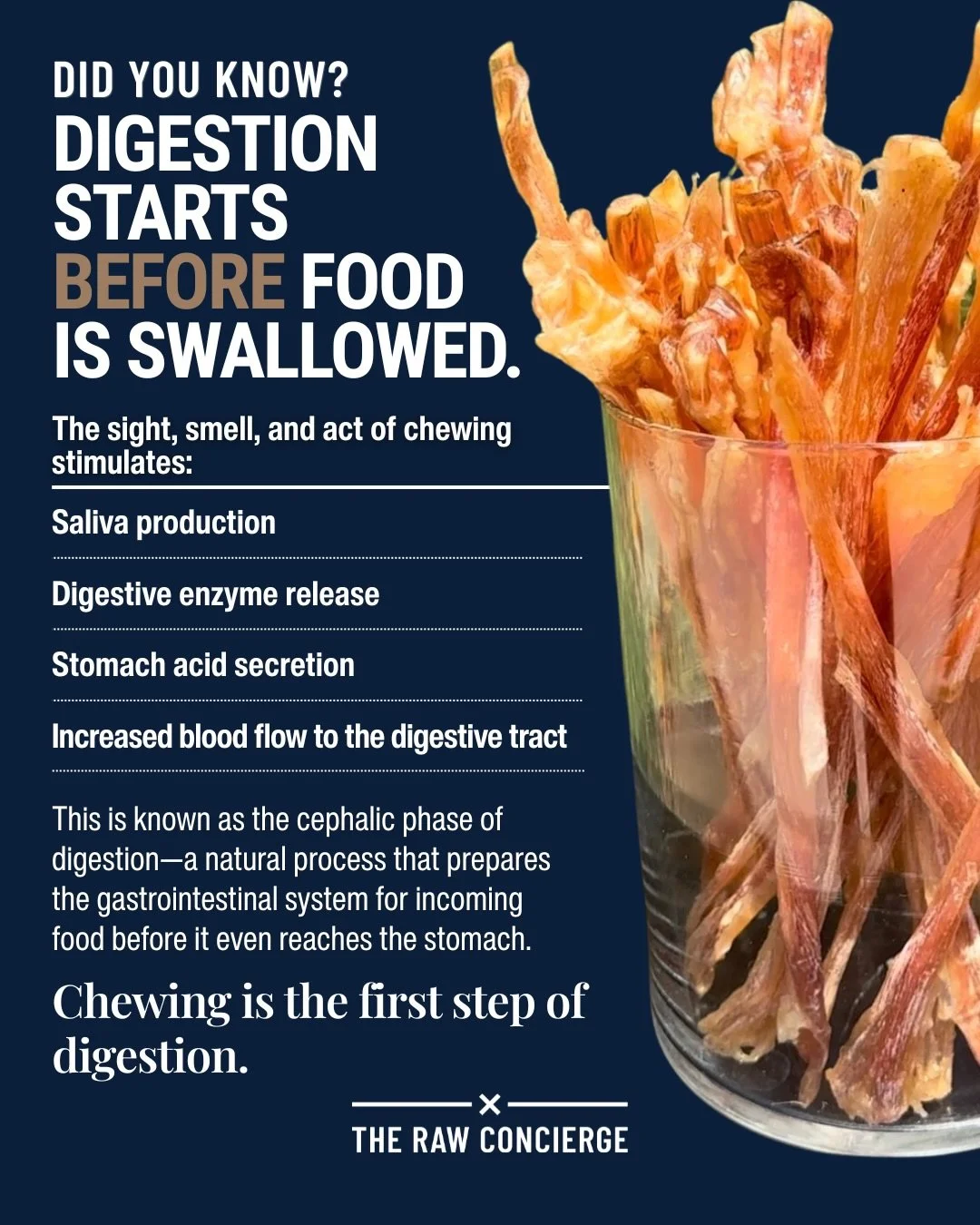 Most people think bones and chews are simply treats or enrichment.

But did you know chewing actually triggers digestive processes before food is even swallowed?

When dogs chew, the body responds by increasing saliva production, digestive enzyme rel