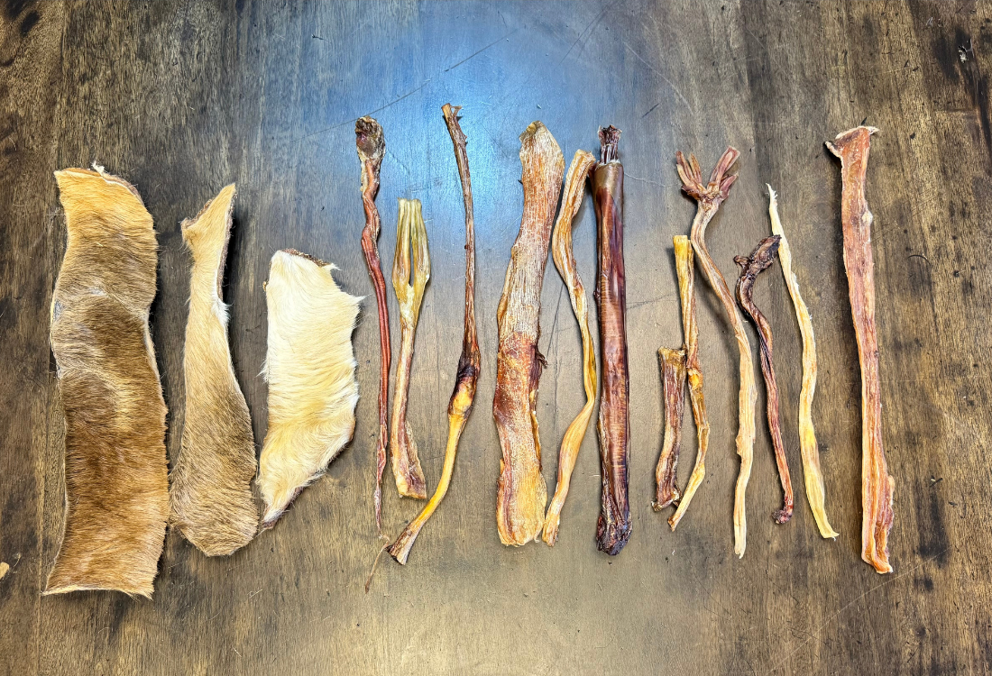 Beyond Enrichment: What Happens Inside Your Dog's Body When They Chew Raw Bones &amp; Natural Chews?