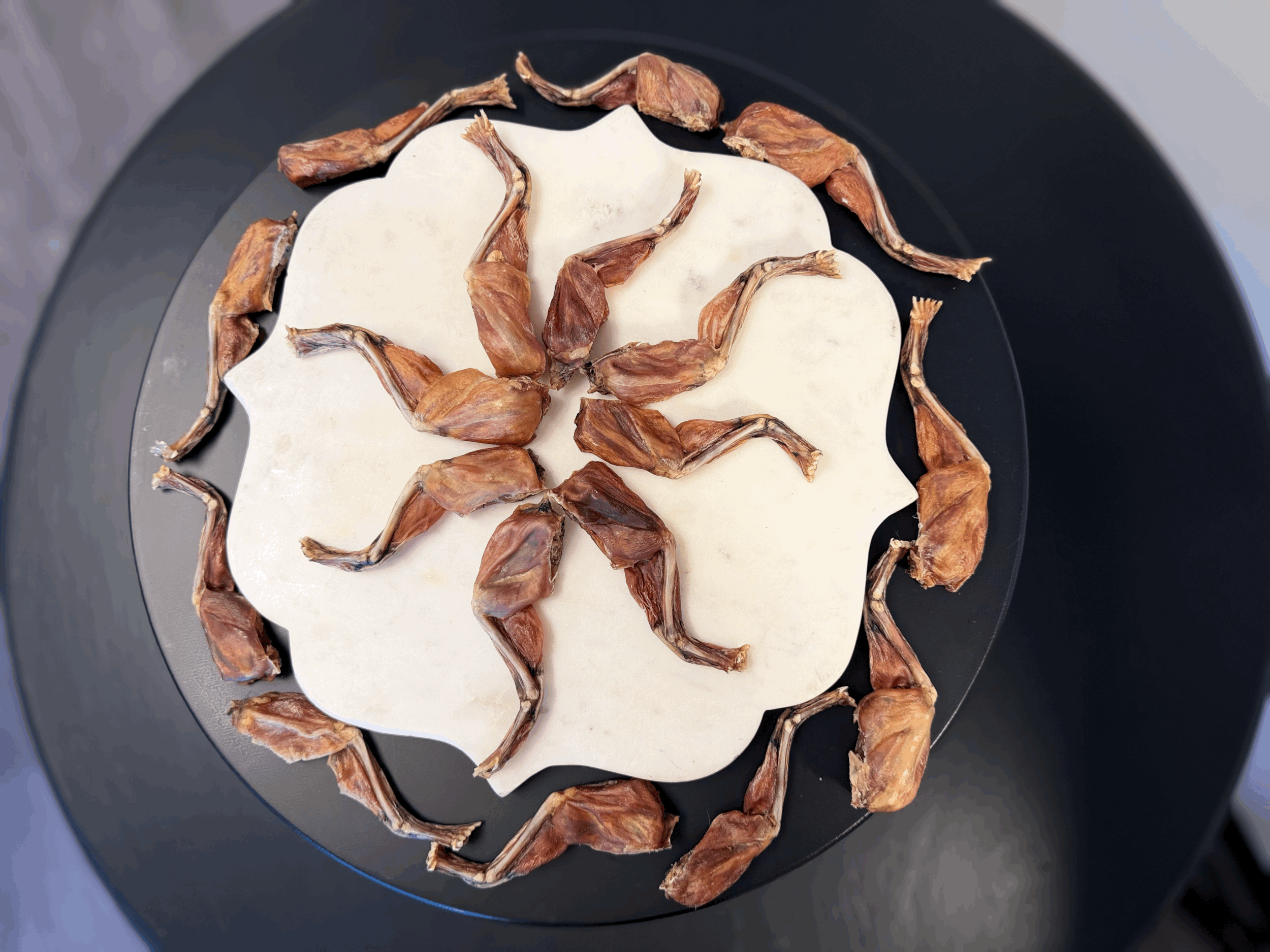 Dehydrated Frog Legs for dogs by The Raw Concierge, a crunchy novel protein treat available in 5 oz. bags.