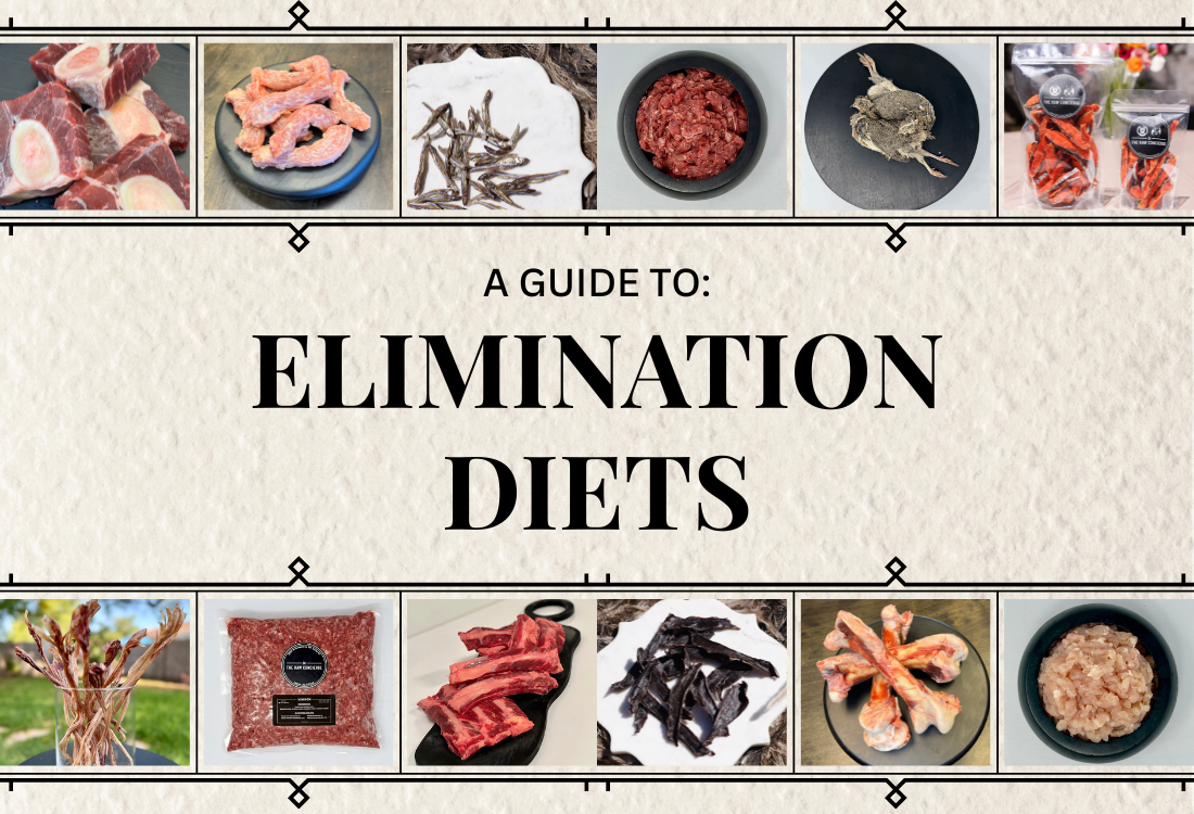 The Ultimate Guide to Elimination Diets for Pets: Identify Food Sensitivities in Dogs and Cats