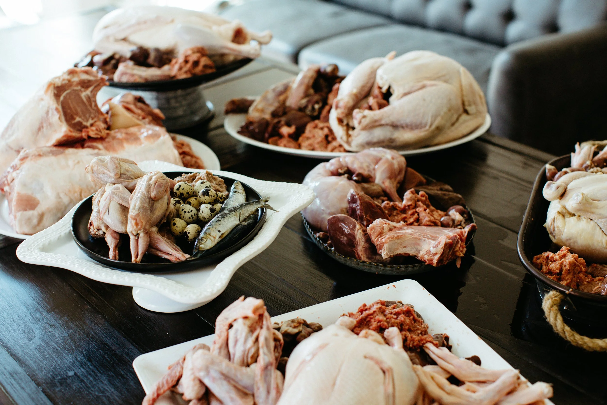 Choosing the Right Proteins for a Species-Appropriate Raw Diet
