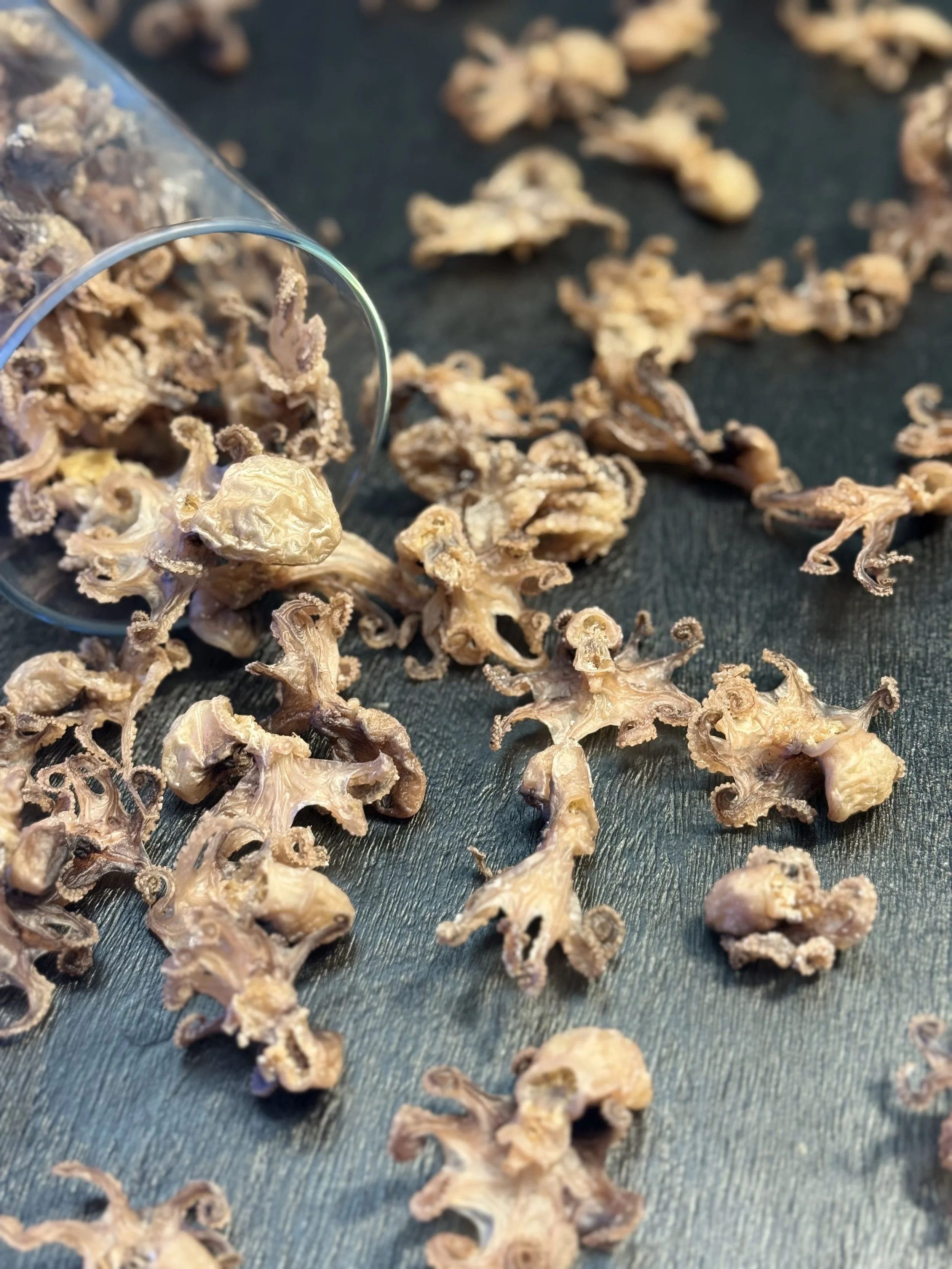 Air-dried baby octopus raw dog treat single ingredient novel protein for raw feeding