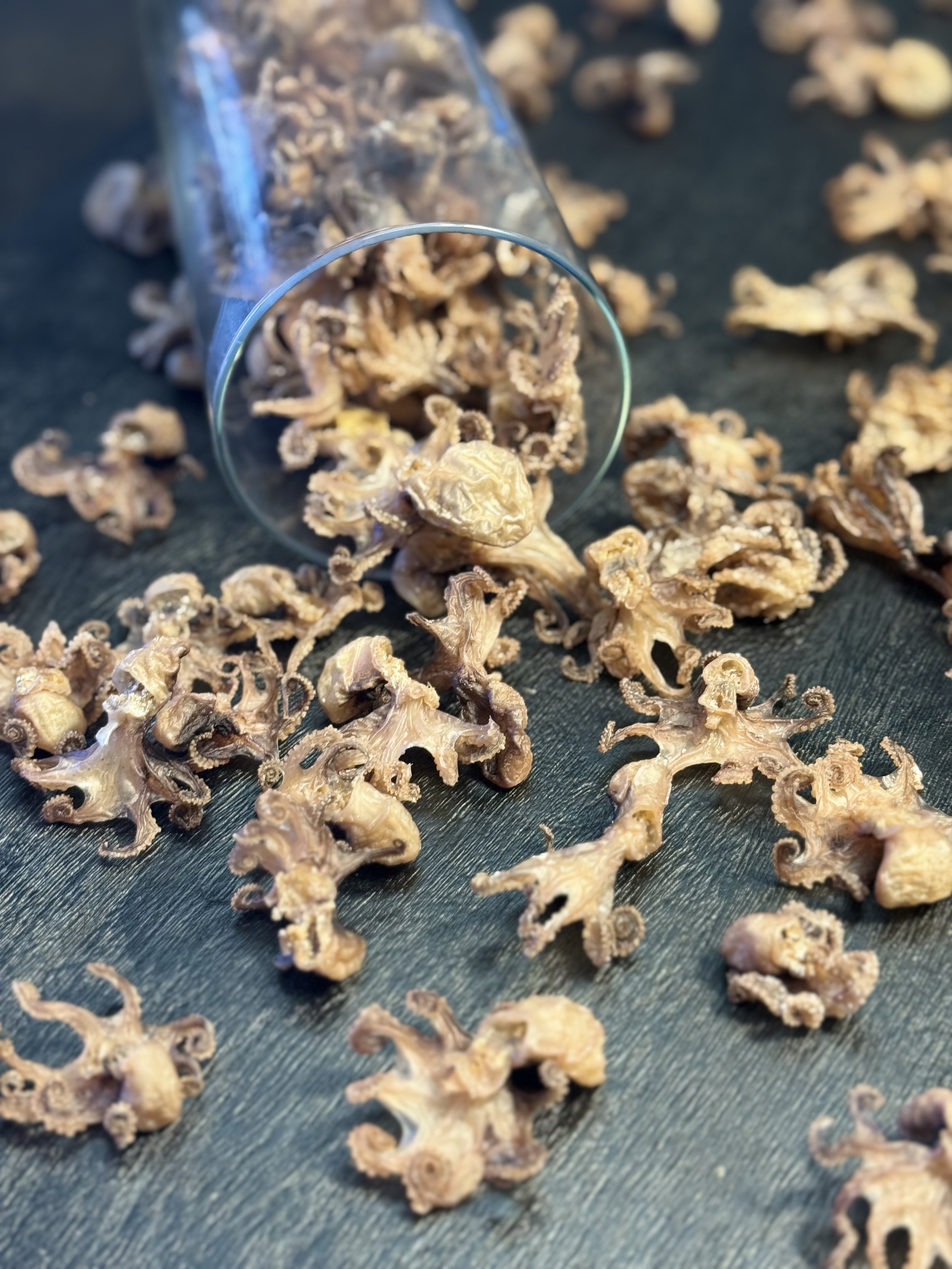 Air-dried baby octopus raw dog treat displayed as species-appropriate single ingredient snack