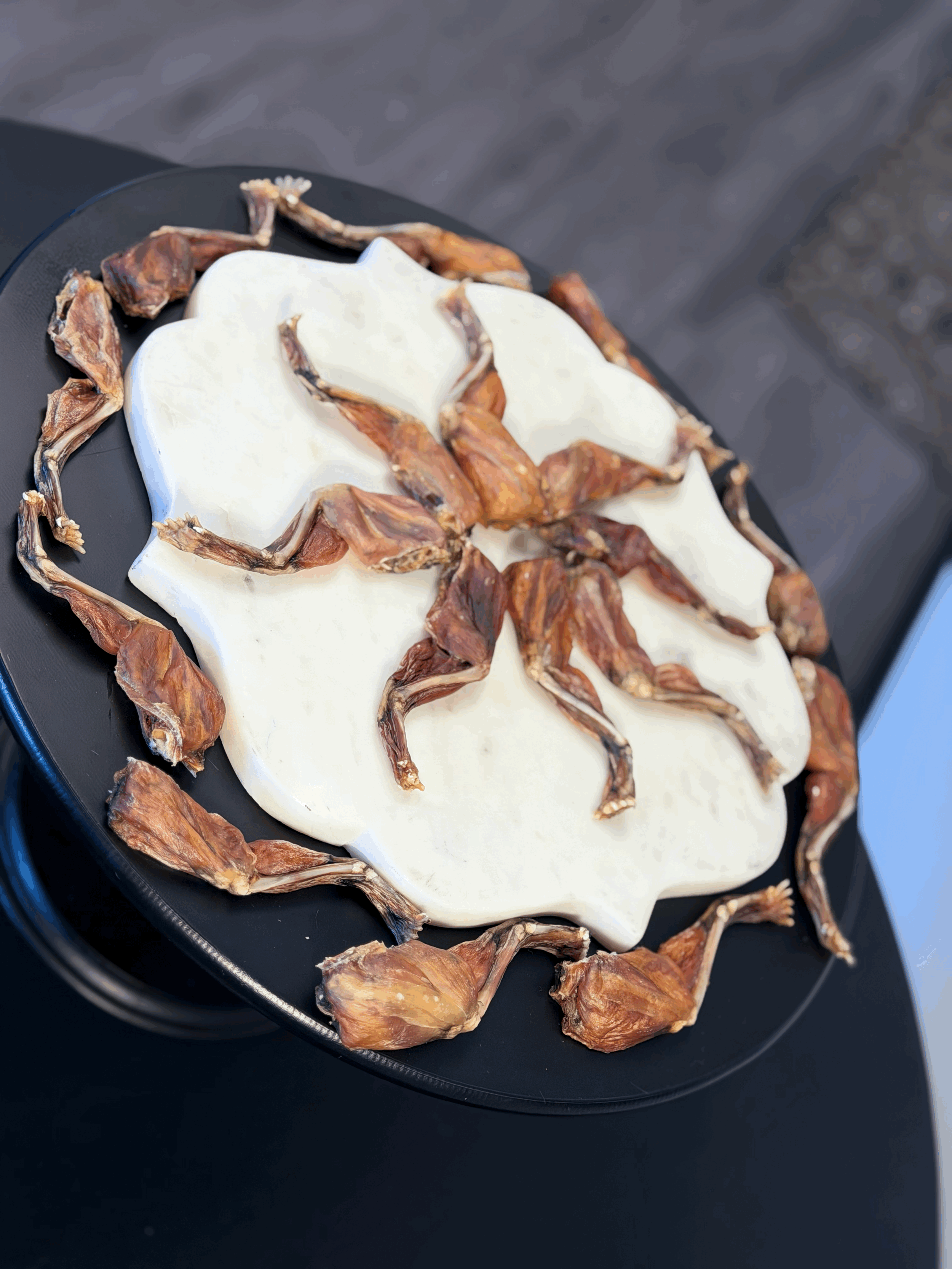 Close-up of Dehydrated Frog Legs showing their distinctive shape, dehydrated texture, and whole-food presentation.