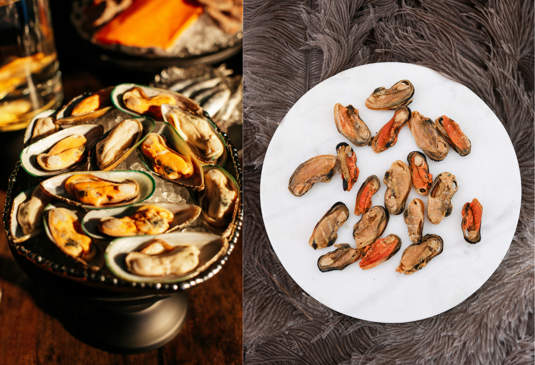 Mussels: Nature’s Marine Powerhouse for Dogs &amp; Cats