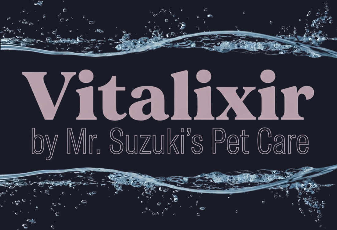 Pet Care Beyond the Bowl: Introducing Mr. Suzuki’s Vitalixir Pet Care
