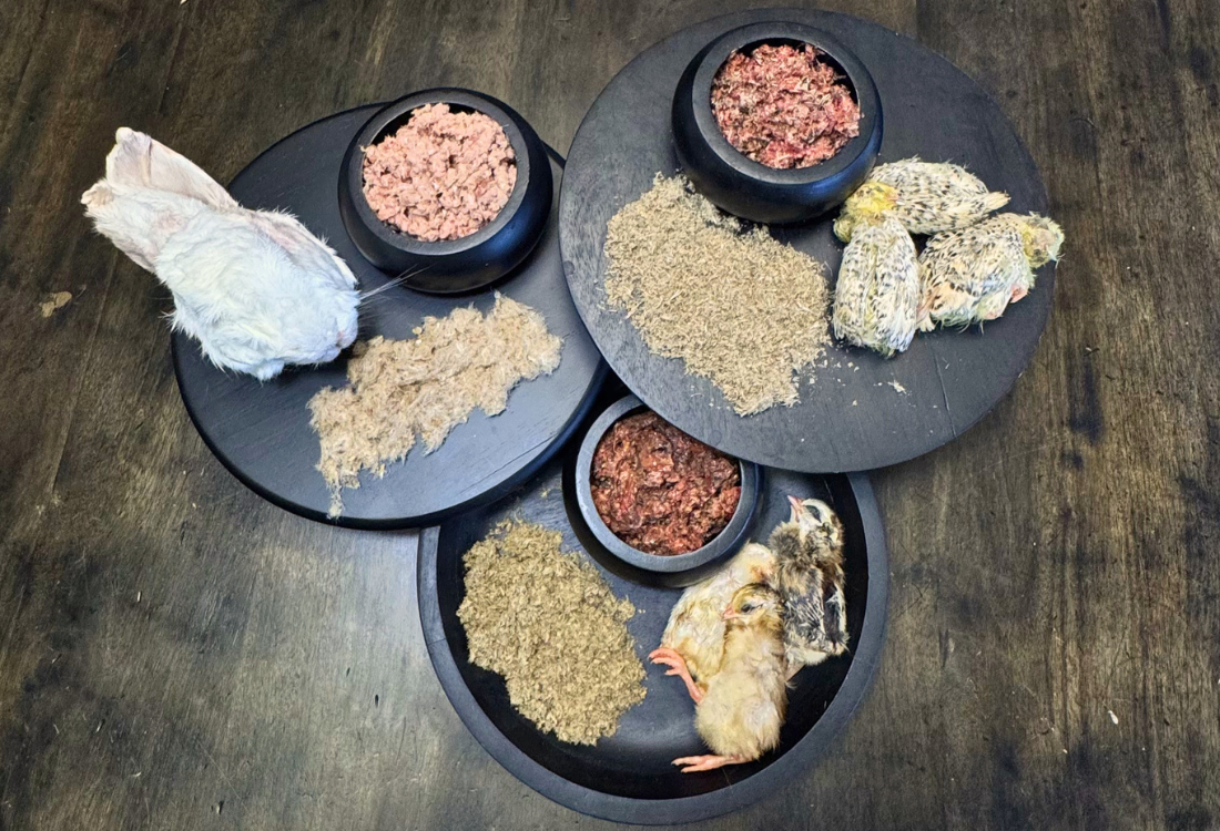 WholePrey Balance: Structural Whole Prey Fiber for Digestive Regulation in Dogs and Cats