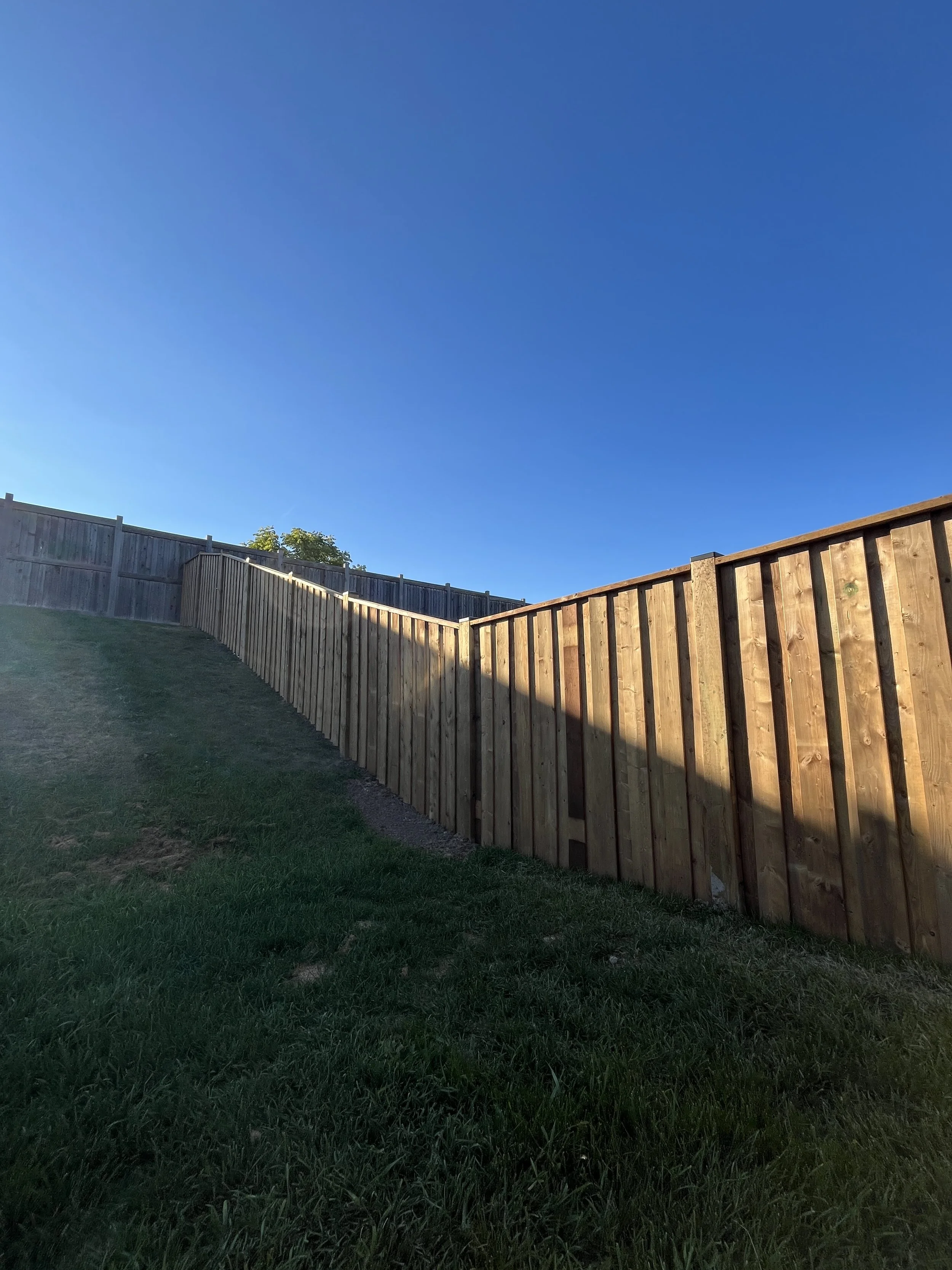 A wooden privacy fence along a grassy yard with a blue sky above.