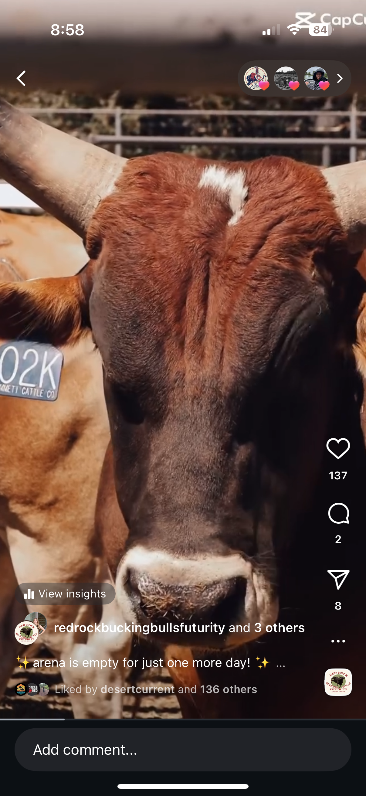 Red Rock Bucking Bulls