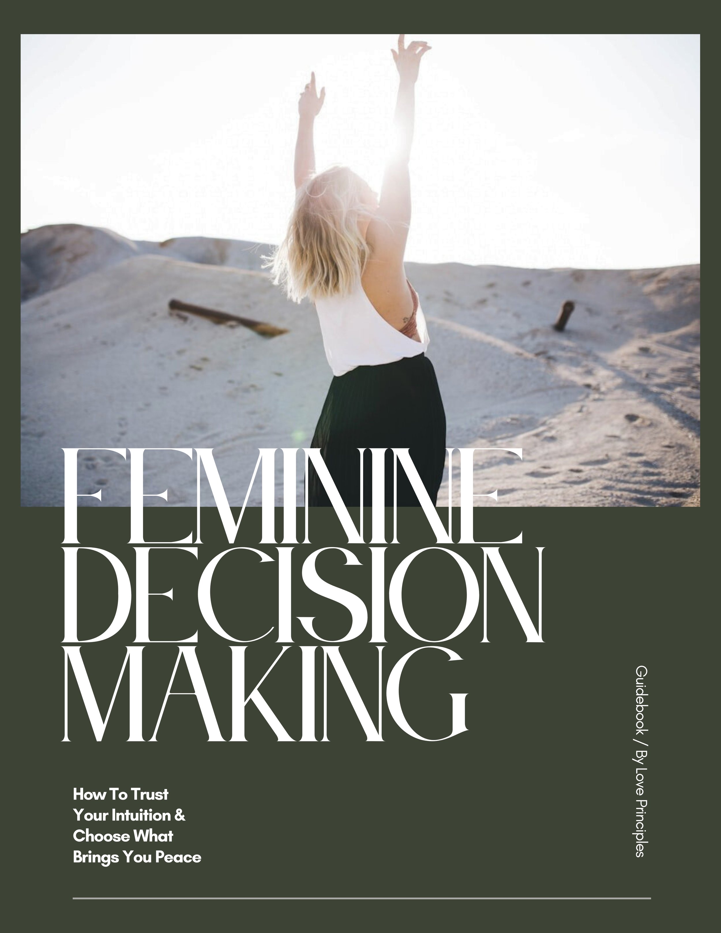 LP FDM Guidebook Cover Page.jpeg