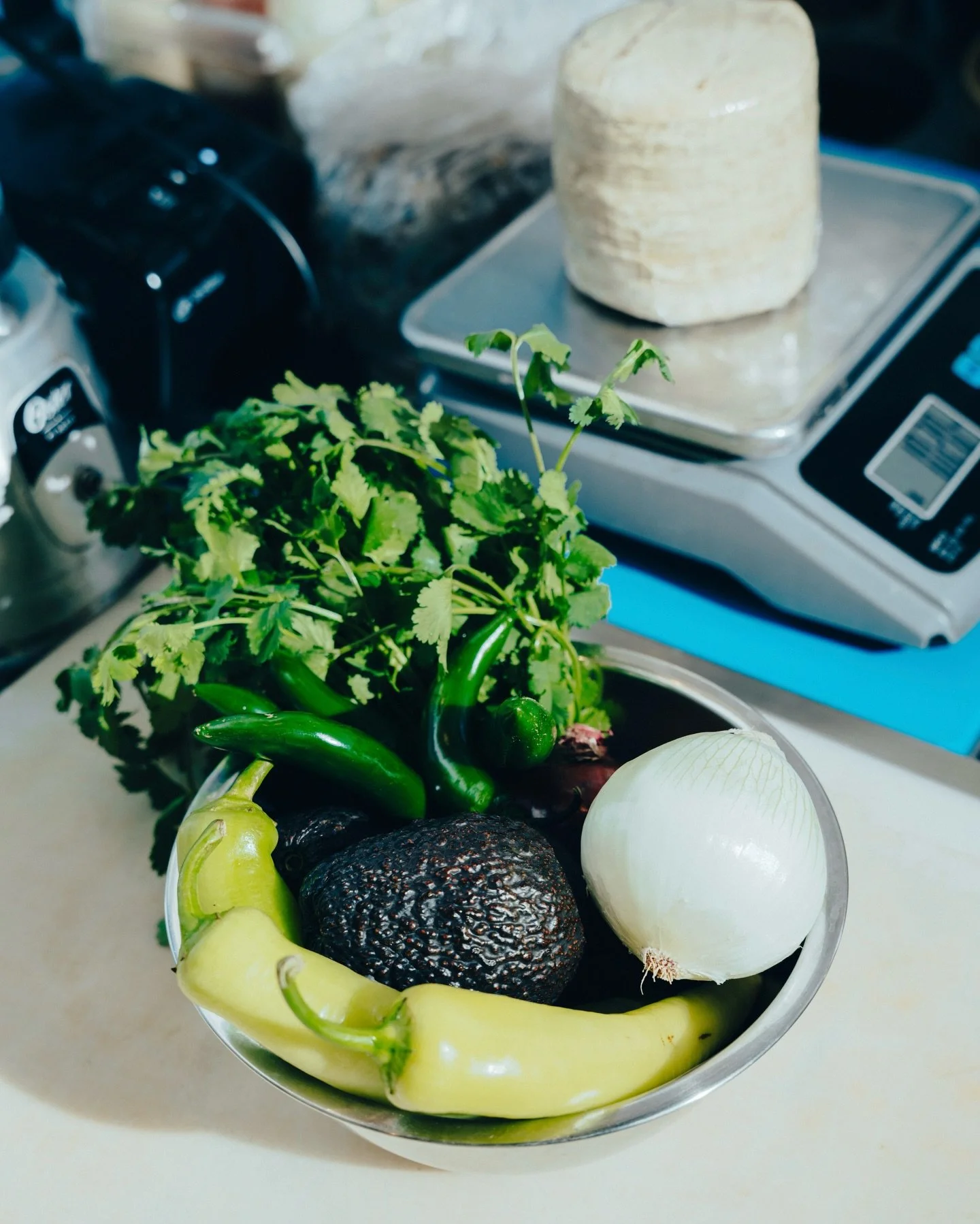 Bit&aacute;cora de Aguachile Negro.