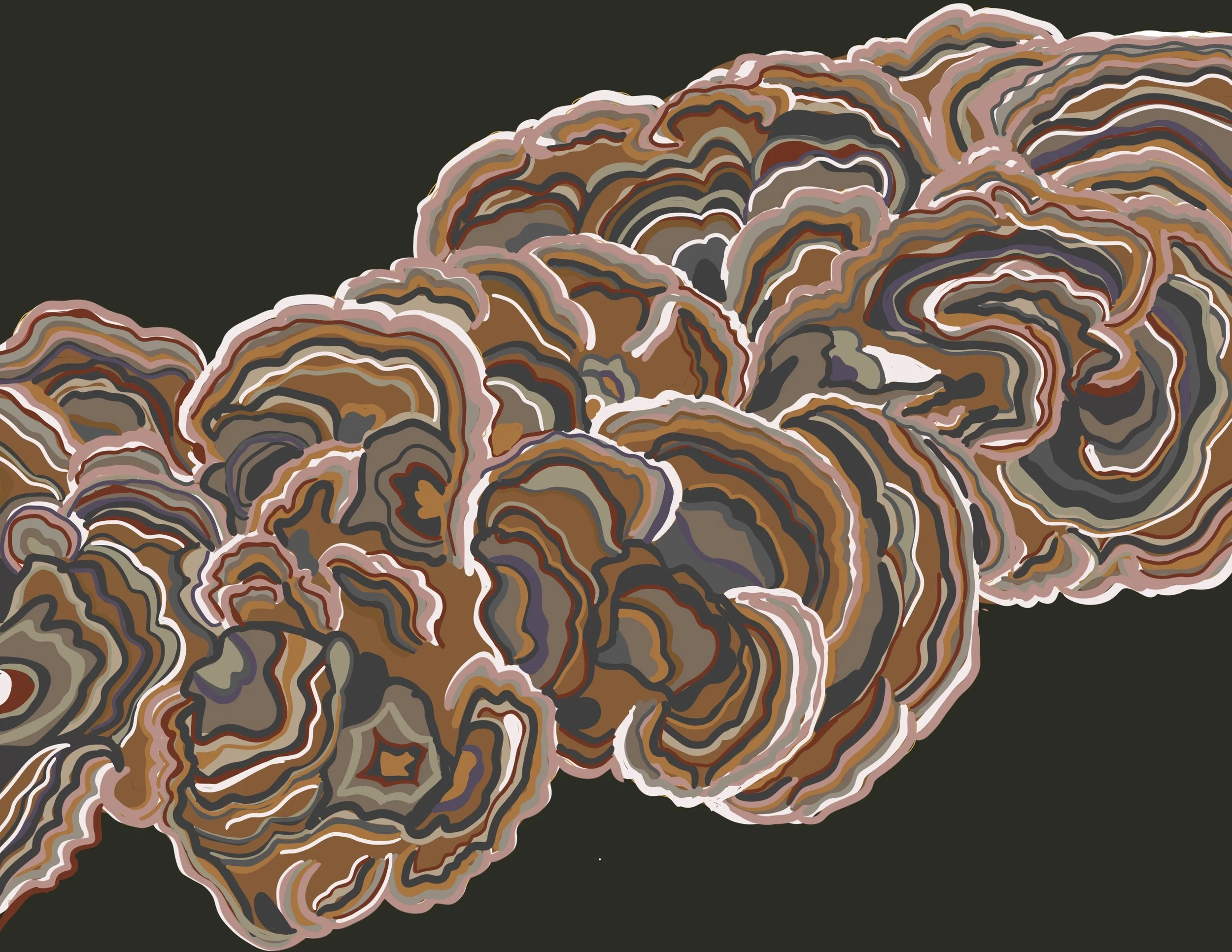 TURKEY TAILS ROLLING