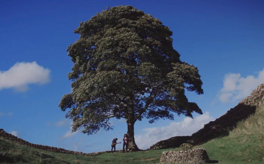 Screenshot 2026-03-16 093736.png