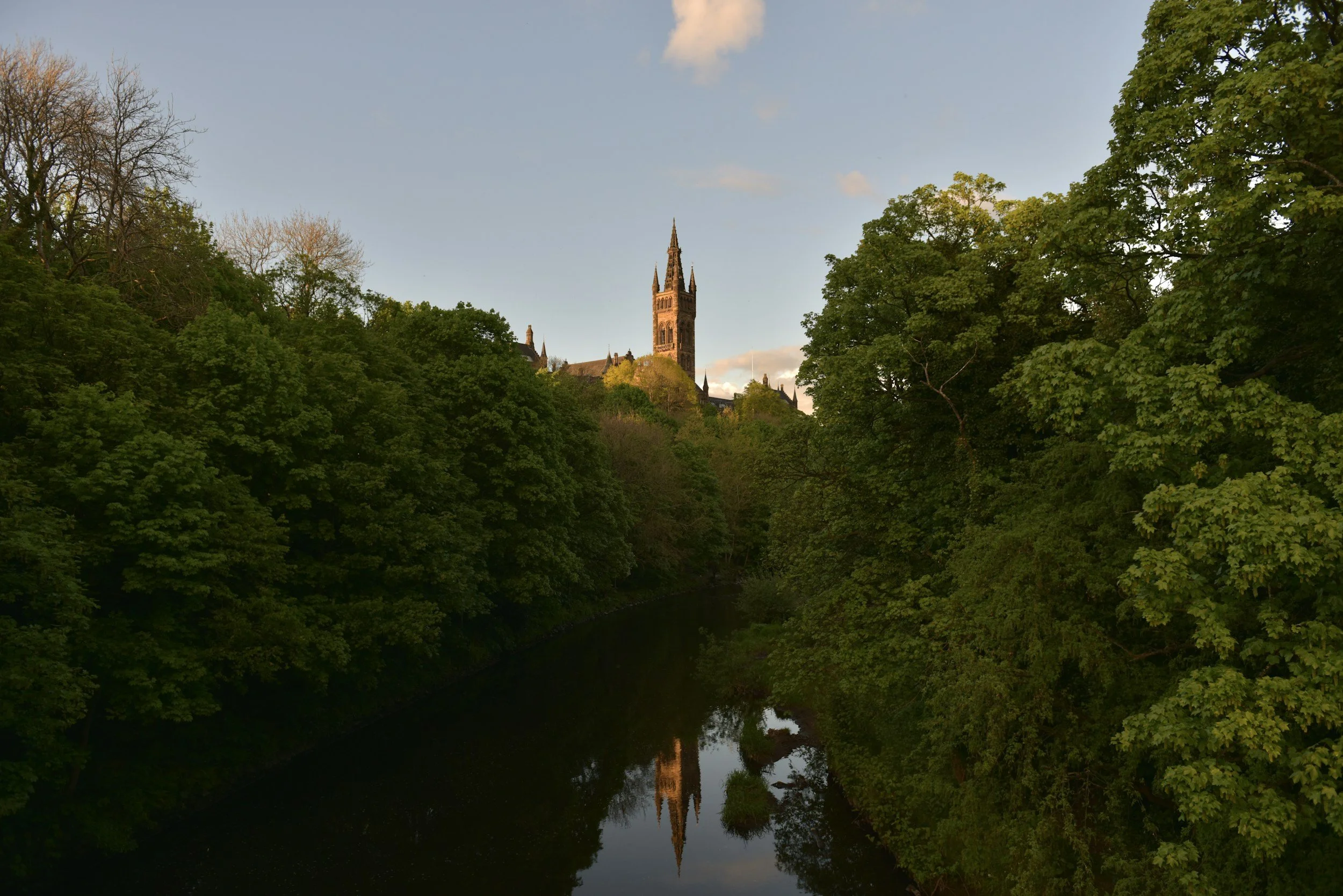 A view of a tall church or cathedral tower peeking through green trees on either side, with a river in the foreground reflecting the trees and tower, under a clear blue sky with a few clouds.