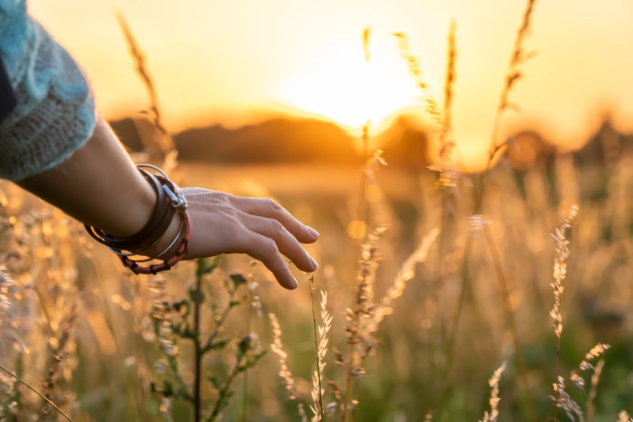 A person's hand gently touching tall grass in a field during sunset, with bracelets on their wrist and a blurred sunset in the background.