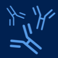 Blue DNA helix icon on a white background.
