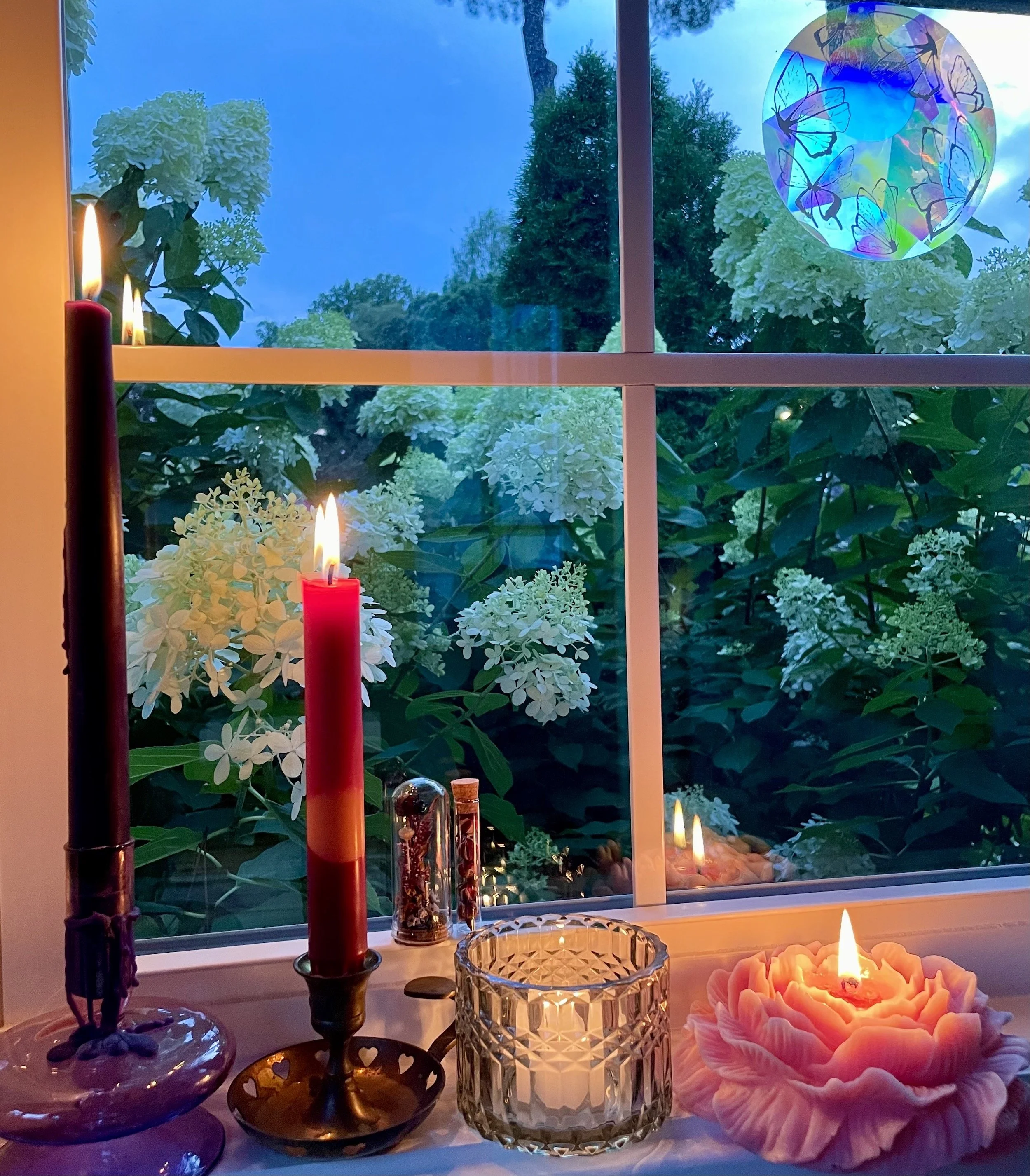 Guided Meditation Setup.jpg