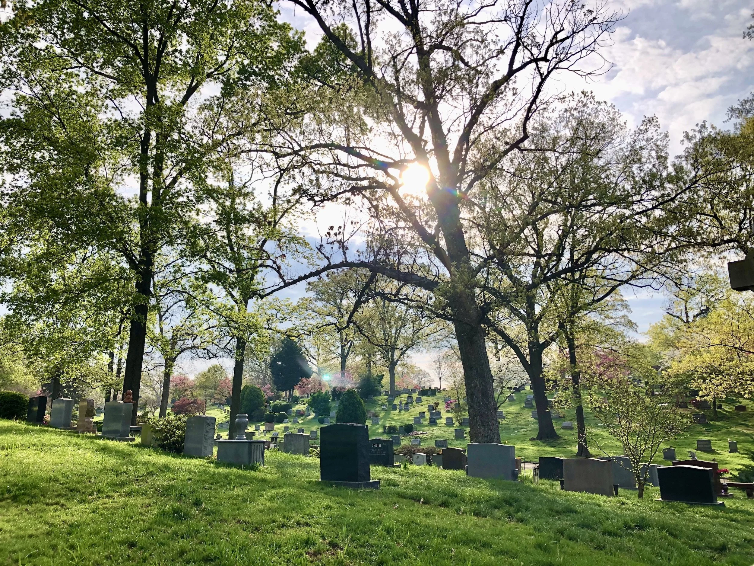 Clarendon cemetery.jpg
