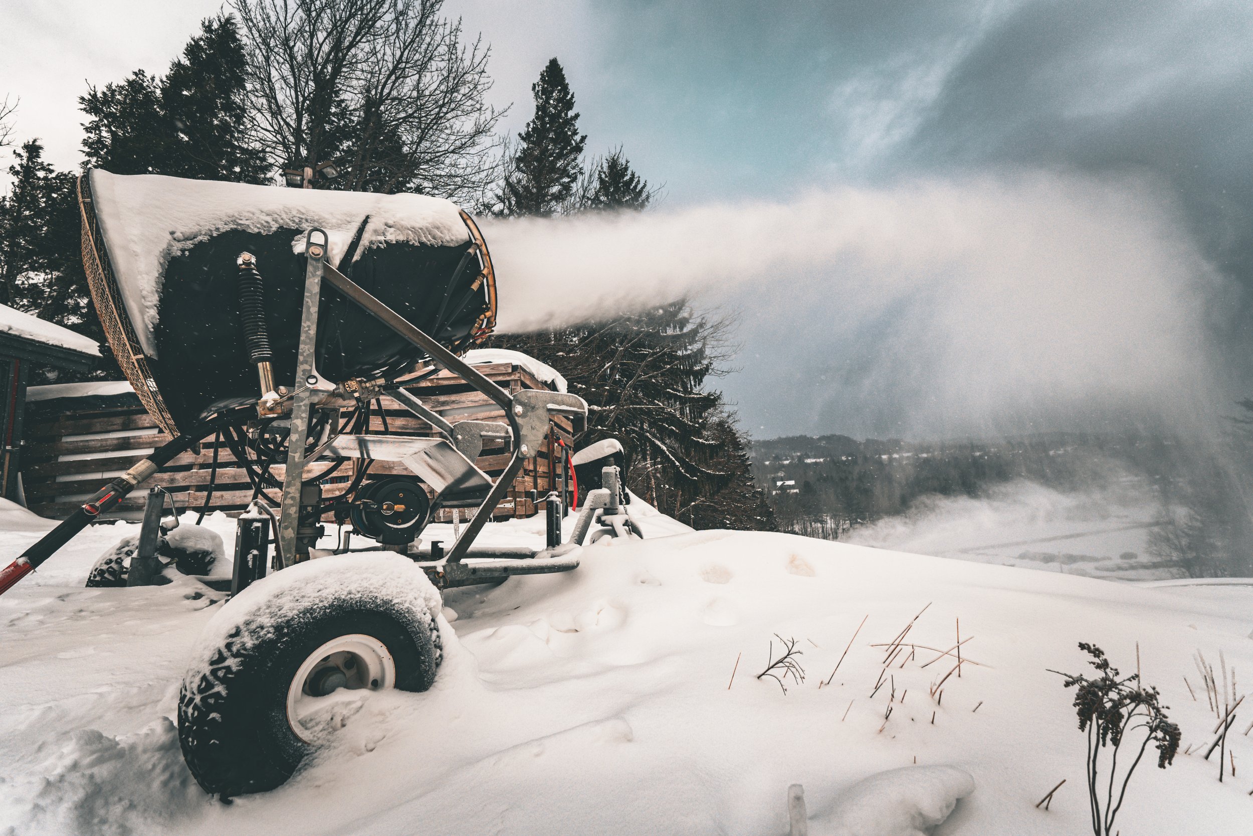 Frostbound