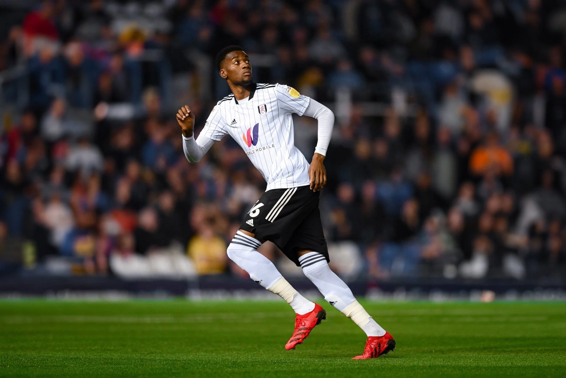 Fulham’s Promotion Push