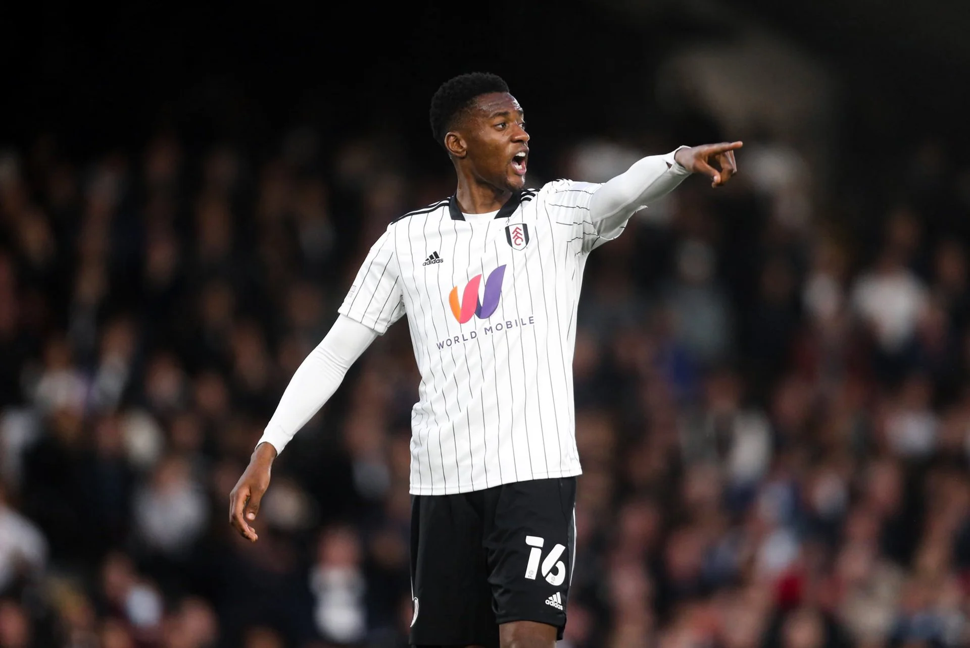 Celebrating 150 Appearances For Tosin Adarabioyo