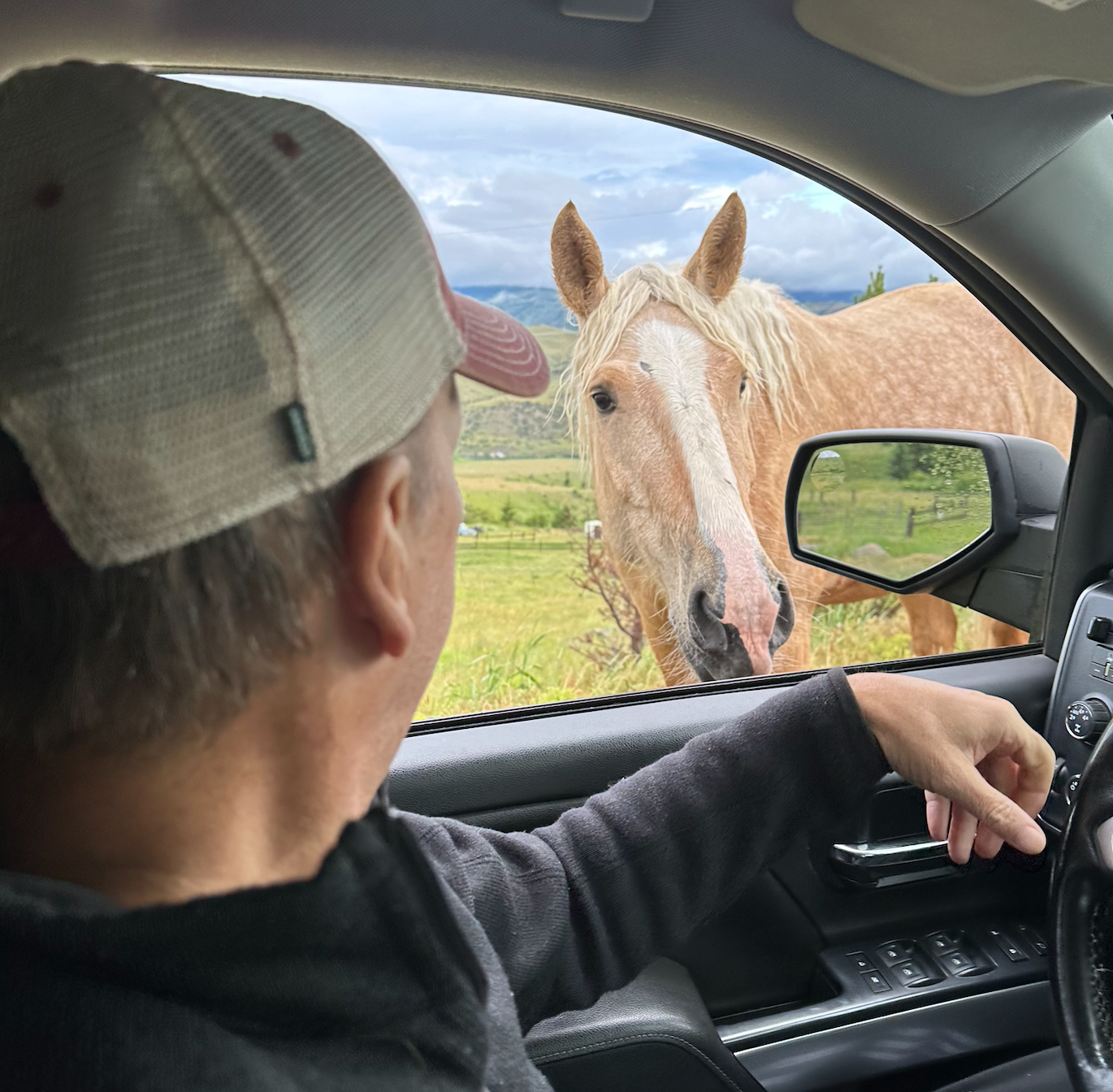 A man sitting in a parked vehicle looks out the window at a horse standing outside in a green field with mountains in the background.