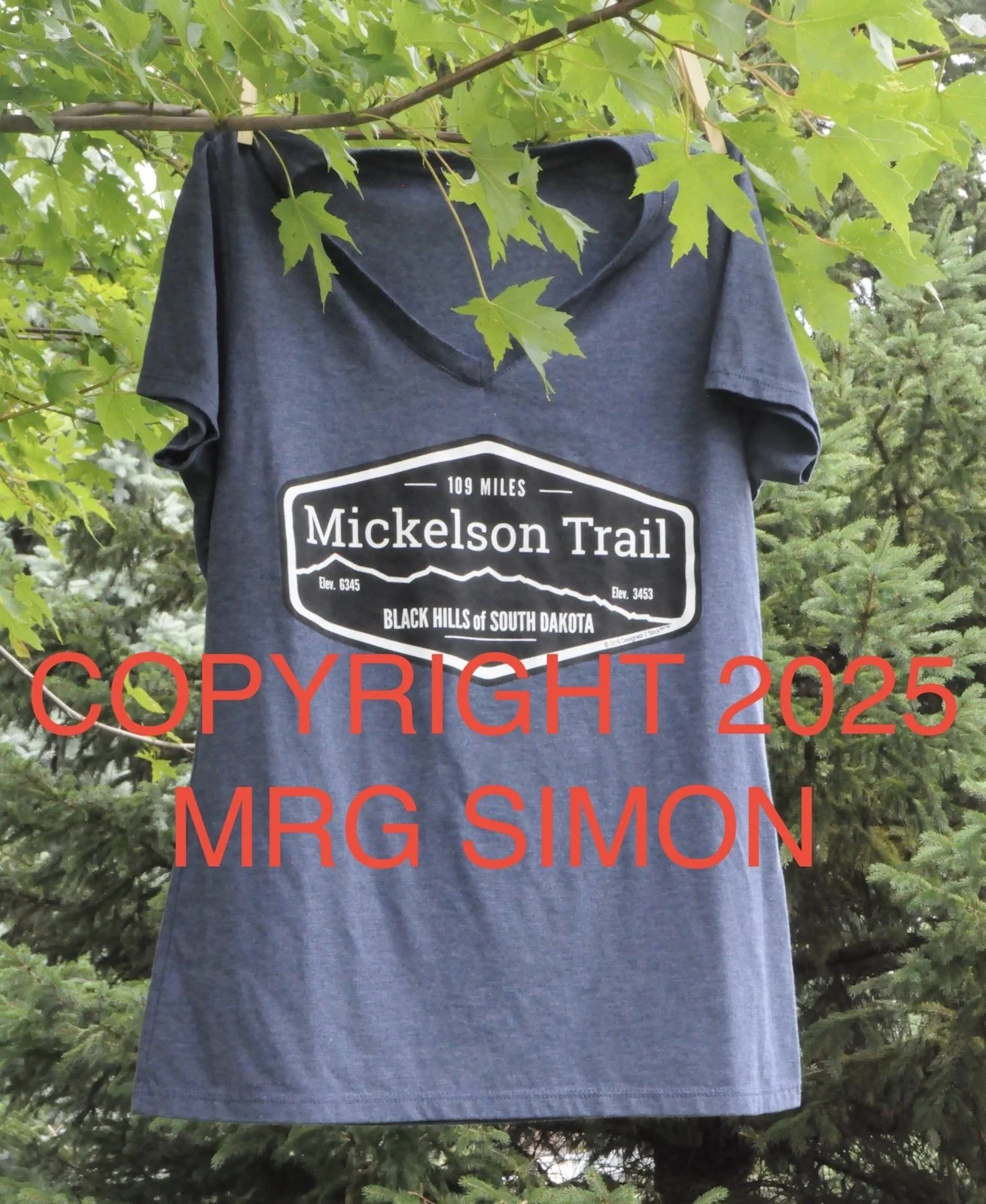 Mickelson Trail Women's T-Shirt Blue