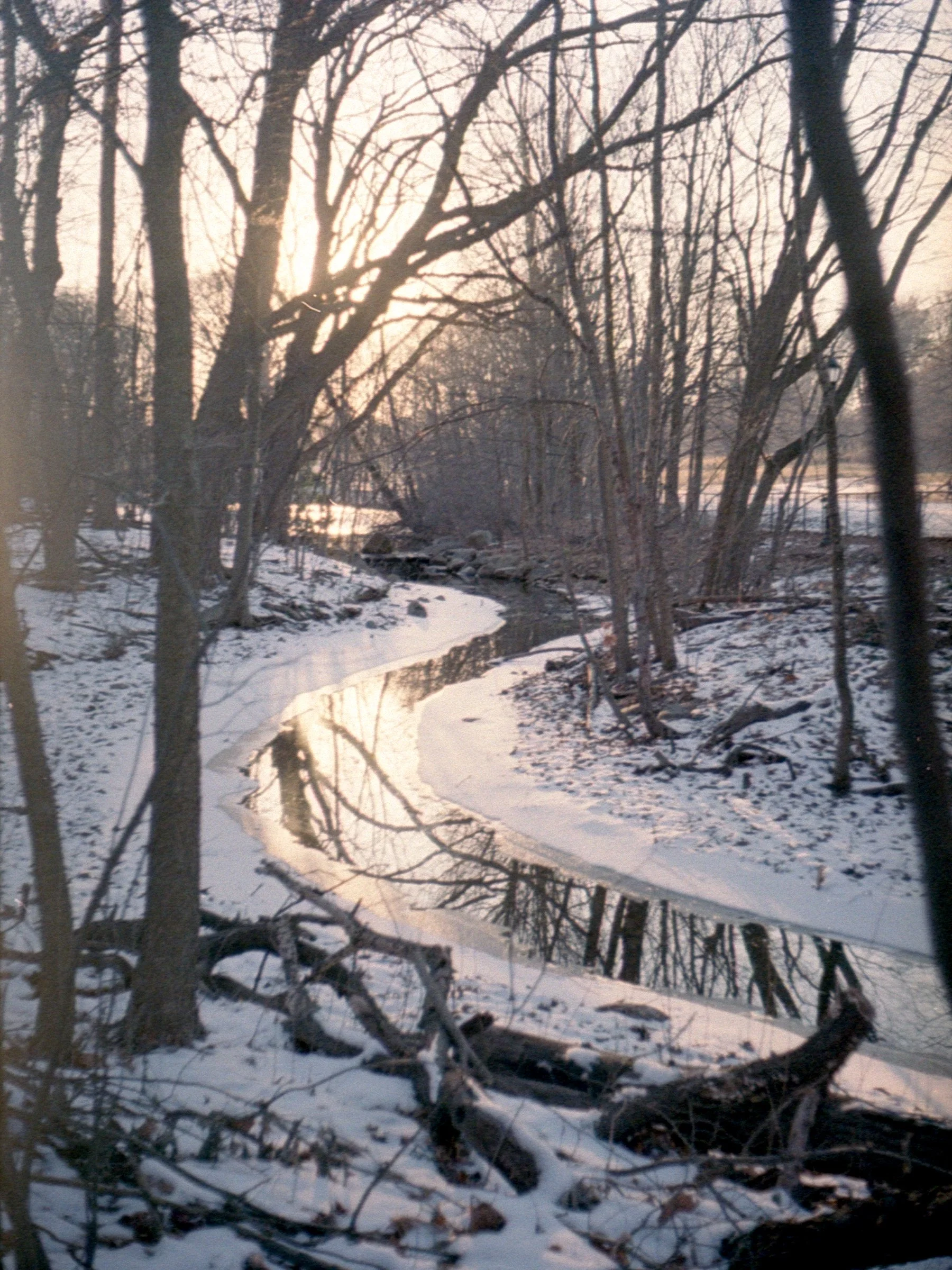 NYC Christmas Film 2025 Edit-16.jpg