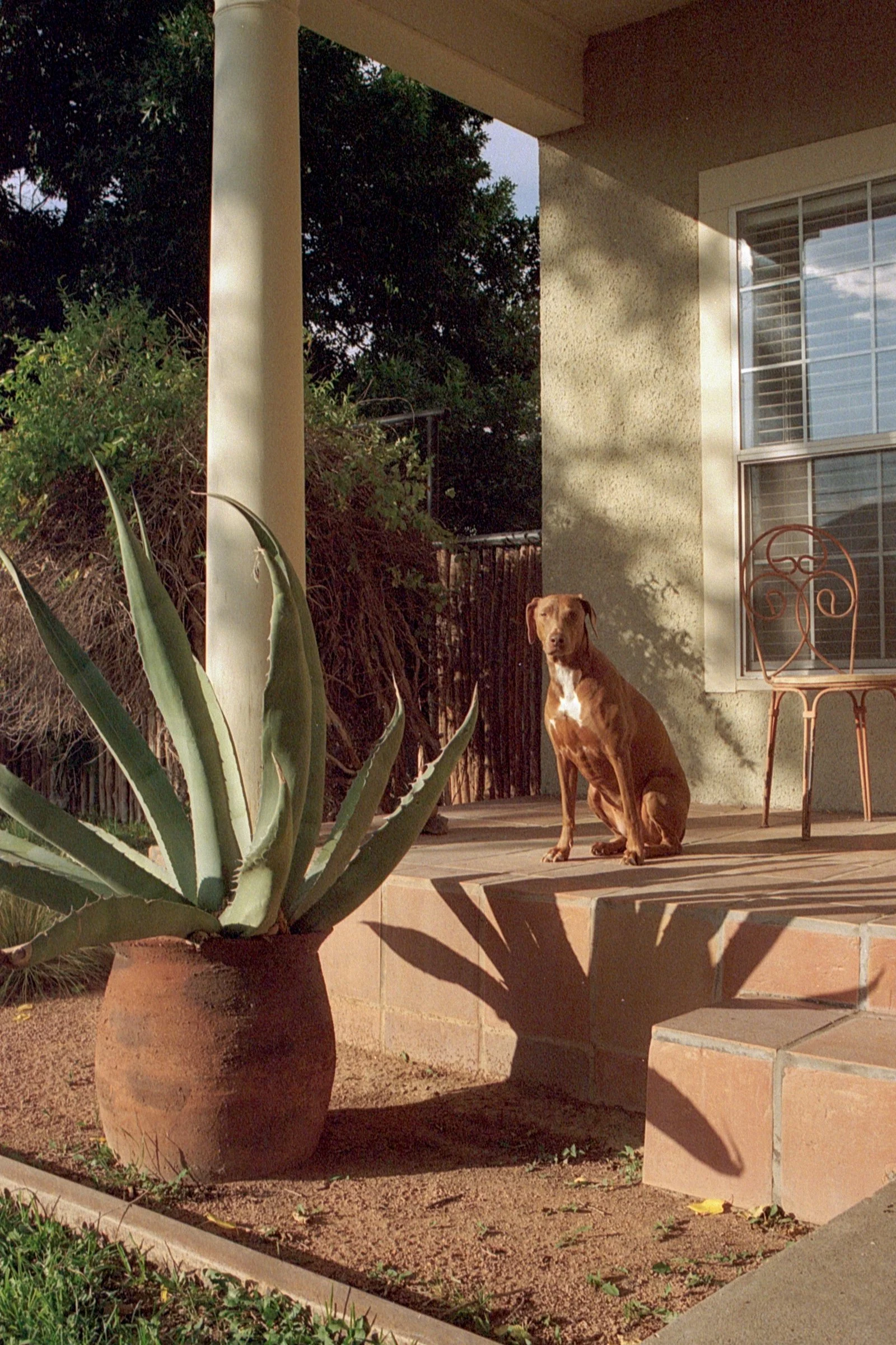 Marfa Film 2026 edits-9.jpg