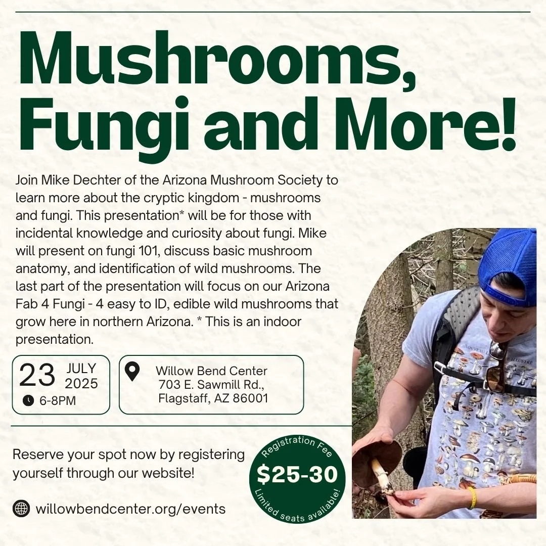 Adult Workshop: Mushrooms, Fungi, and More!